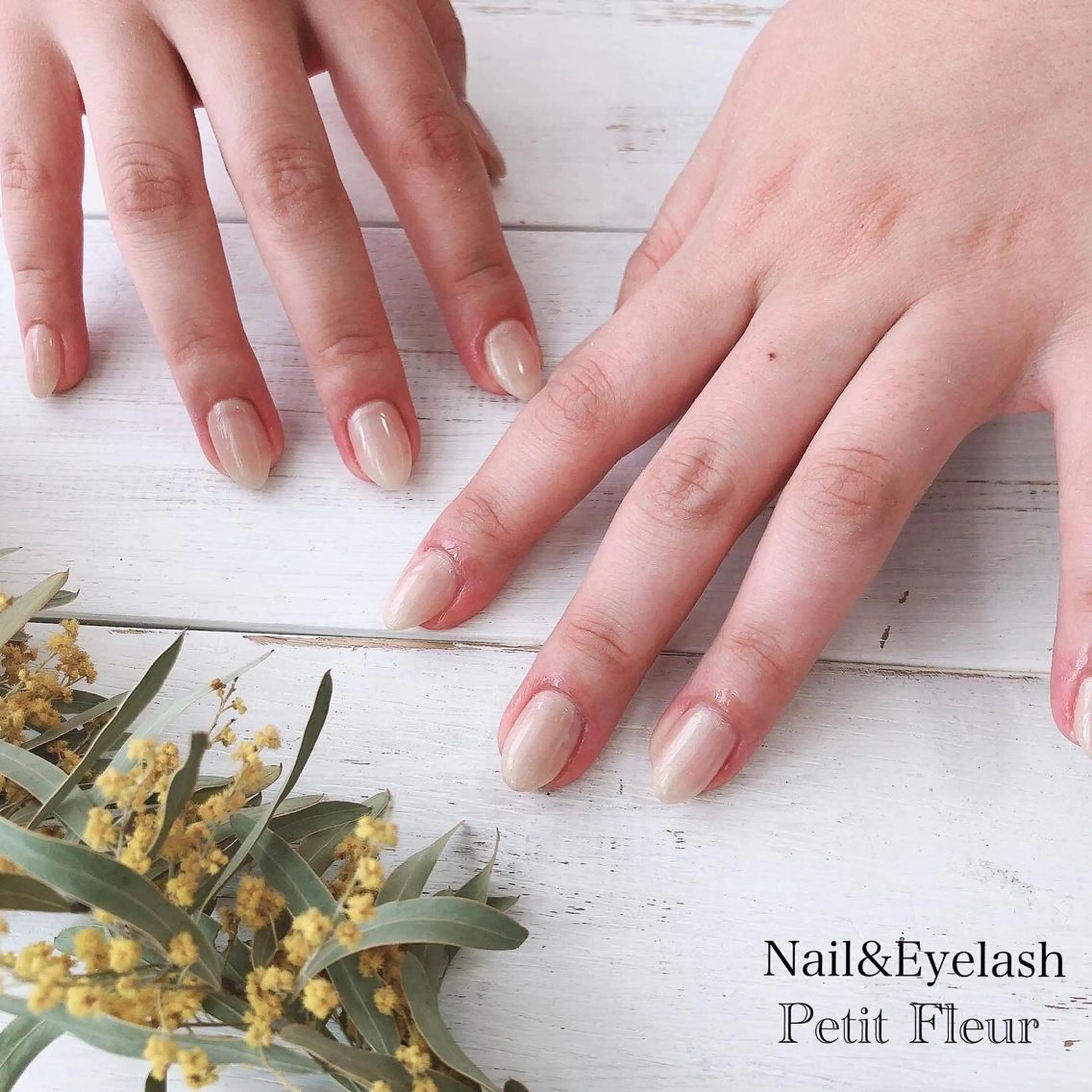 ネイル Petit Fleur所属・青柳 亜梨奈のマツエク・マツパデザイン