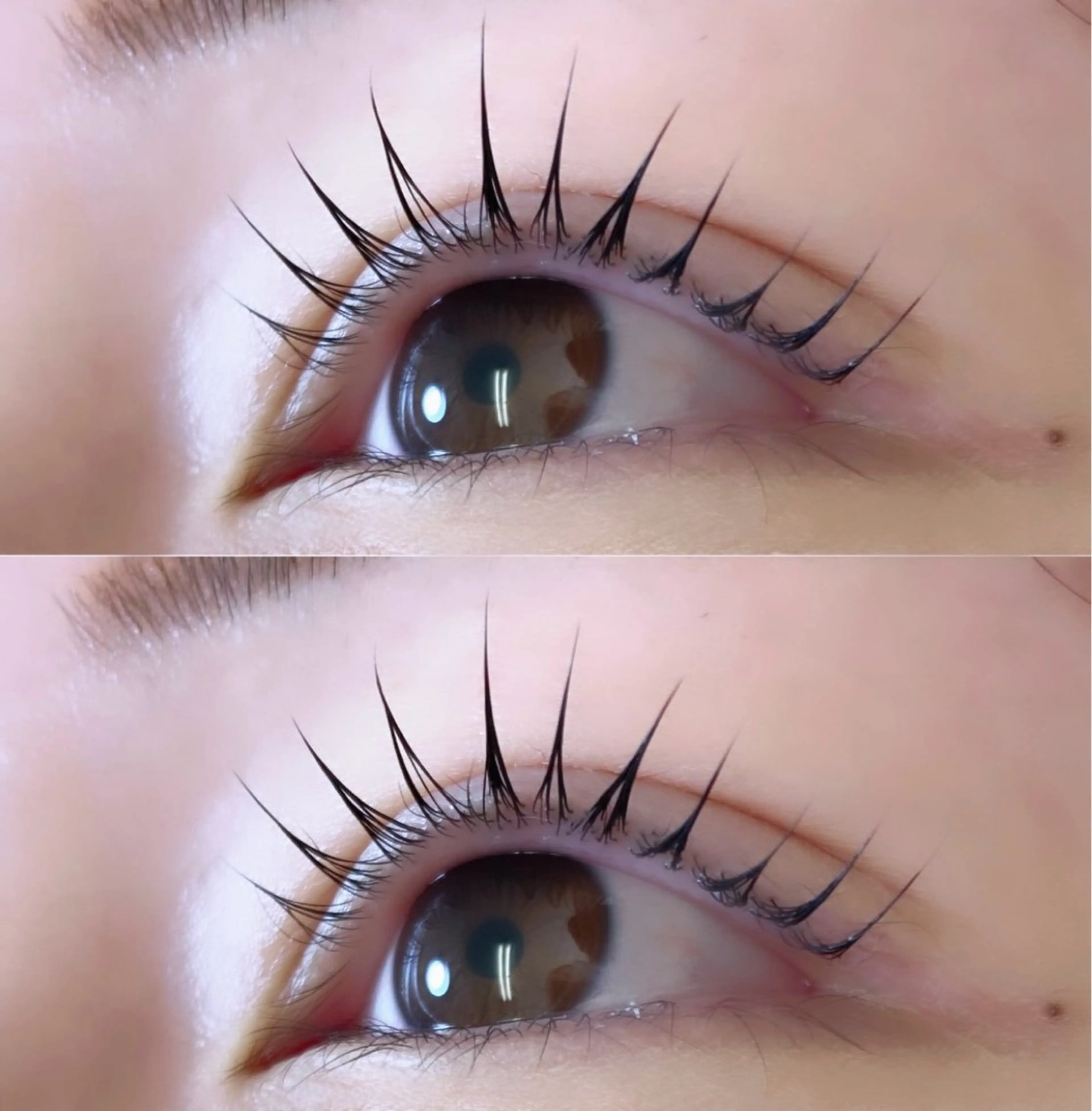 マツエク・マツパ まつげパーマ マツパ Toikawa misuzuのマツエク・マツパデザイン