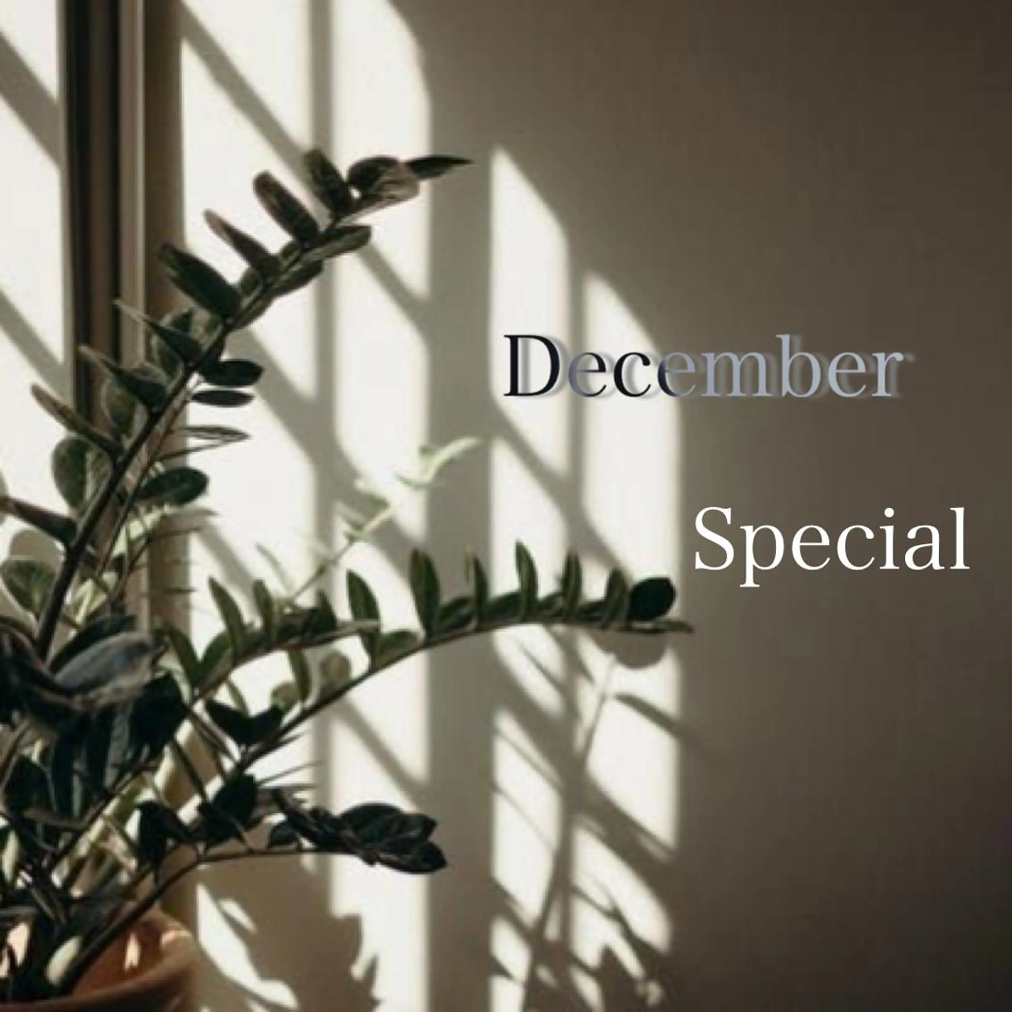 パリジェンヌ上下 恵比寿ayakaのマツエク・マツパデザイン