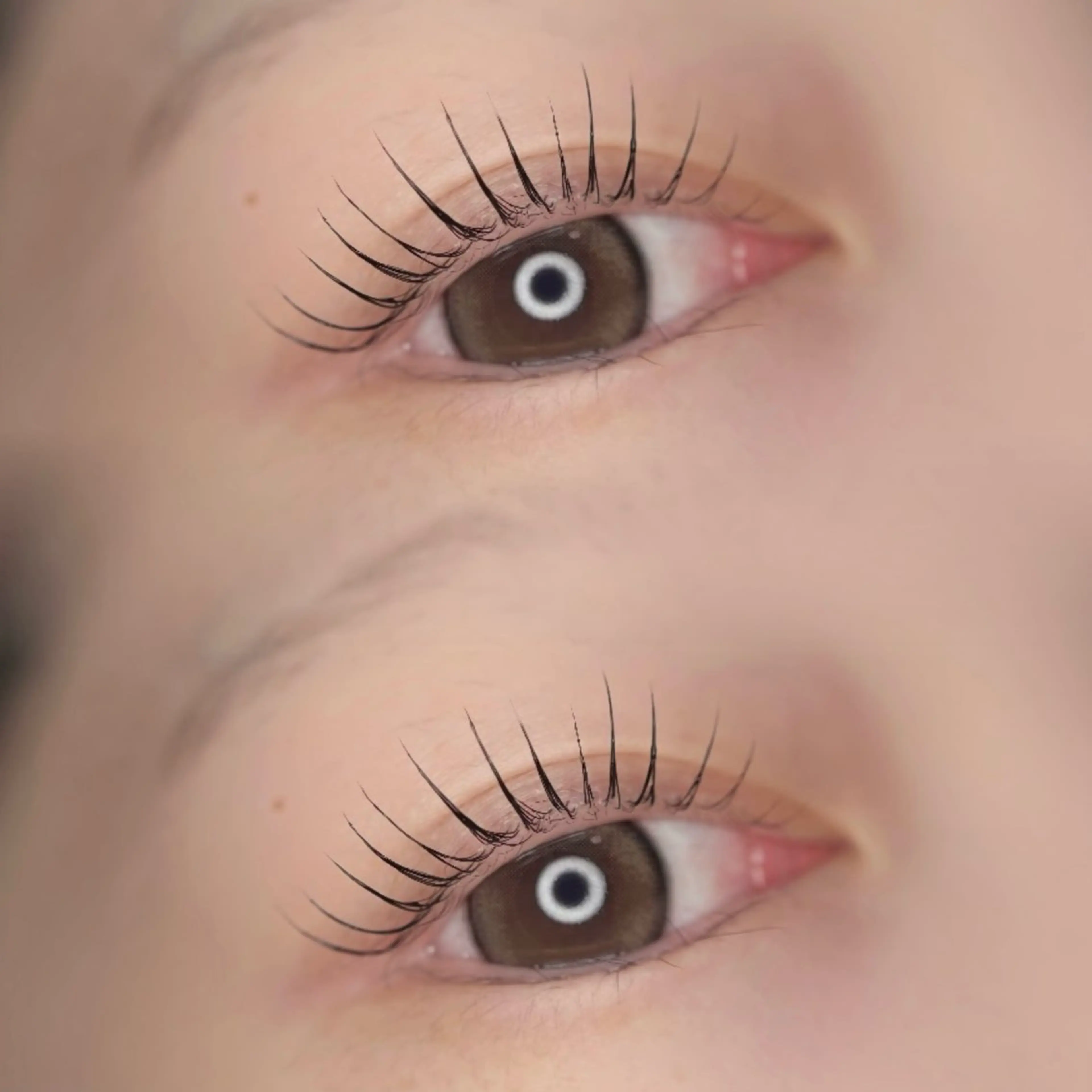 マツエク・マツパ まつげパーマ 一重×まつ毛パーマ 🦋MaaZlash 南流山FUKA🤍のマツエク・マツパデザイン