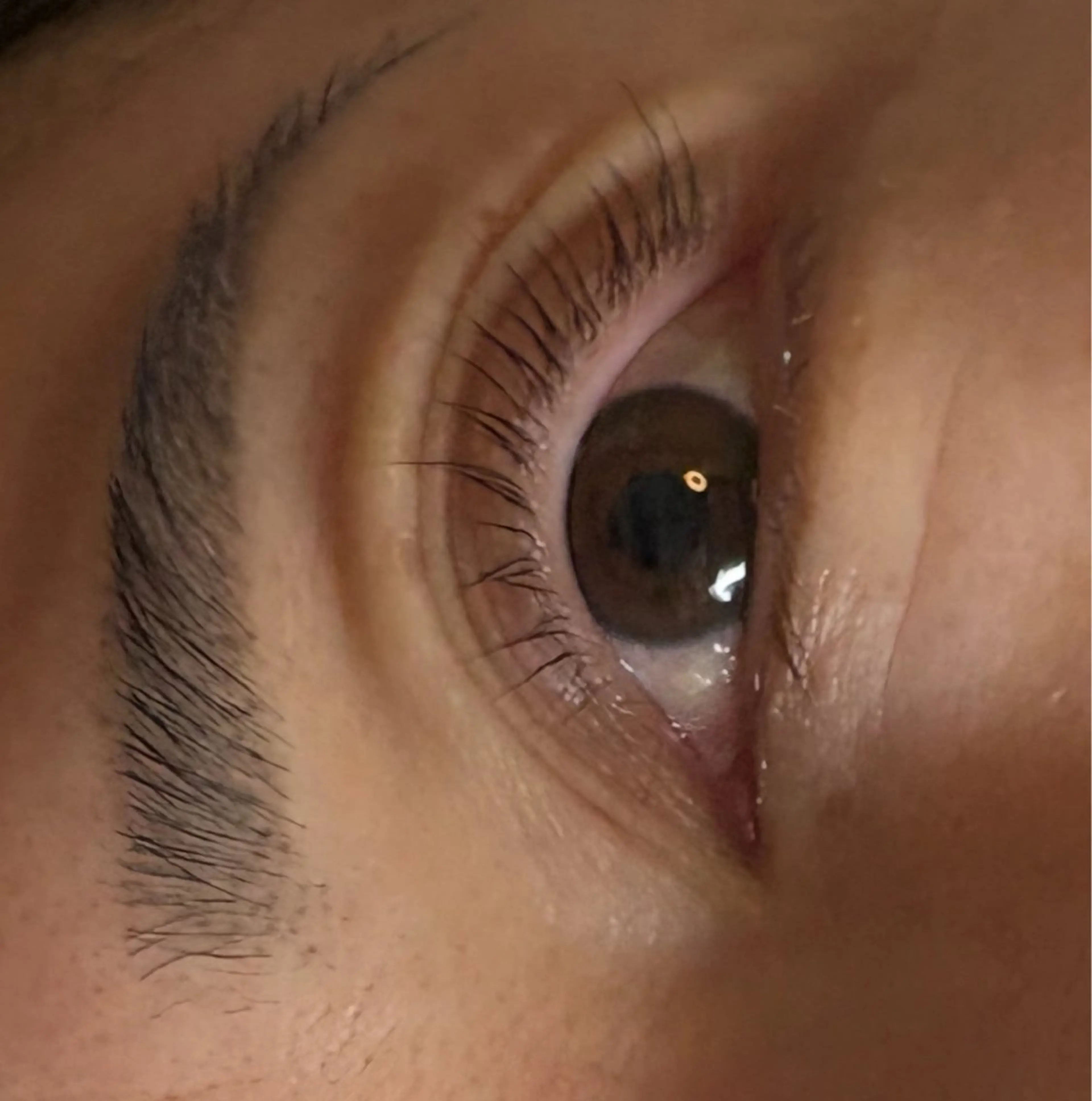 マツエク・マツパ トータルビューティー サロン・Ｎの眉毛・アイブロウイメージ