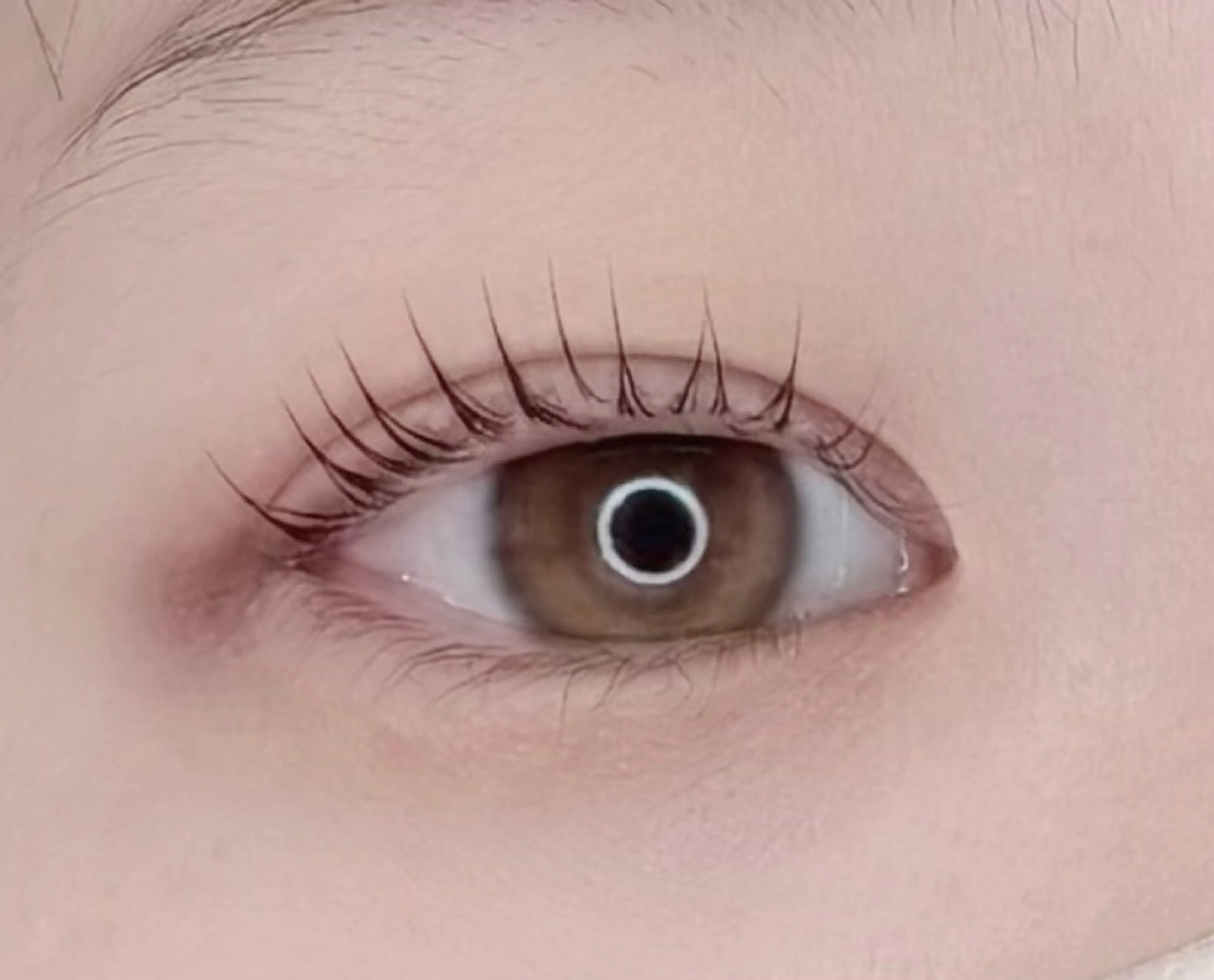 【🌸学割U24🌸】(上)まつ毛パーマ/コーティング付き♪の写真