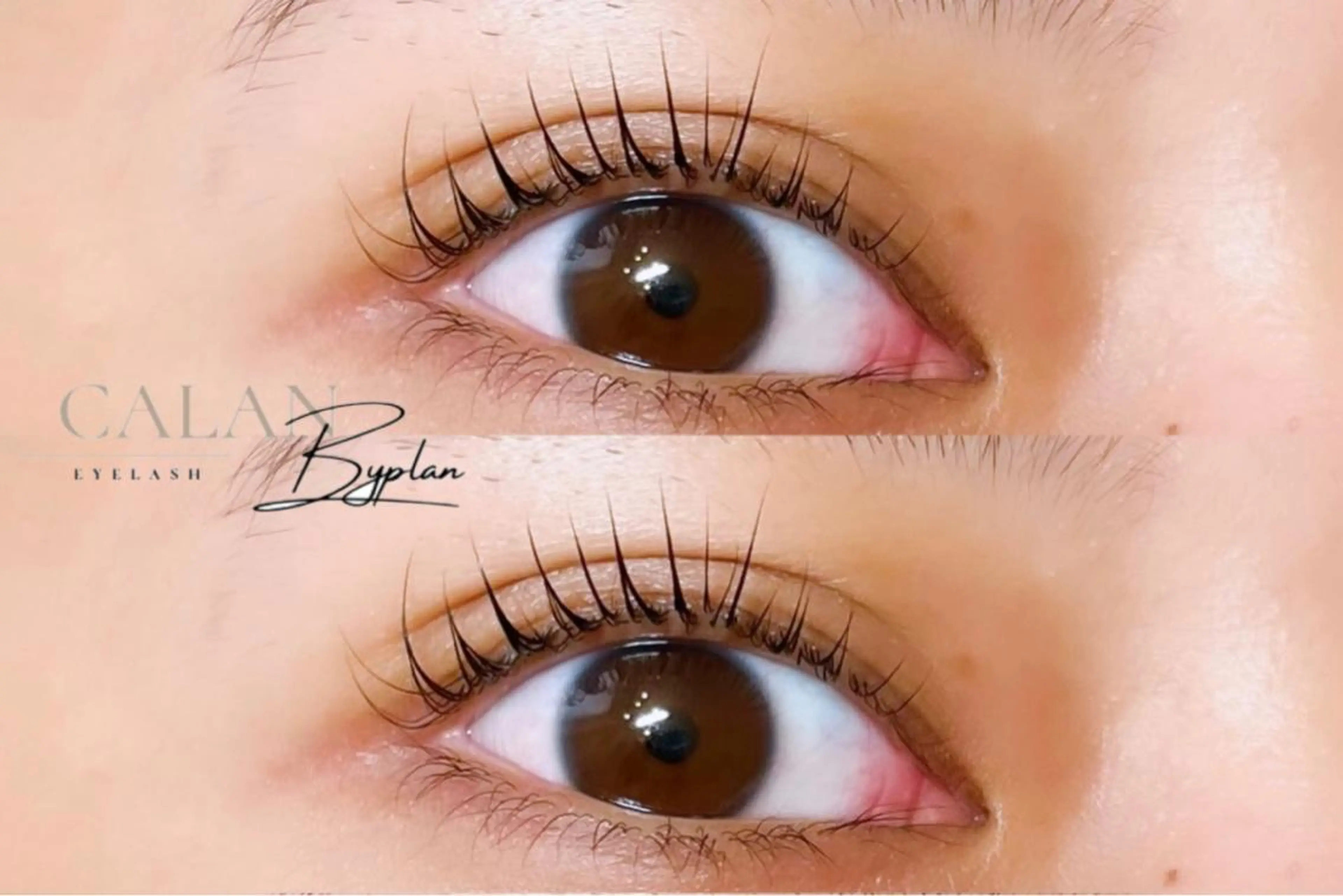 マツエク・マツパ LEDマツエク /束感🎀yukiのマツエク・マツパデザイン