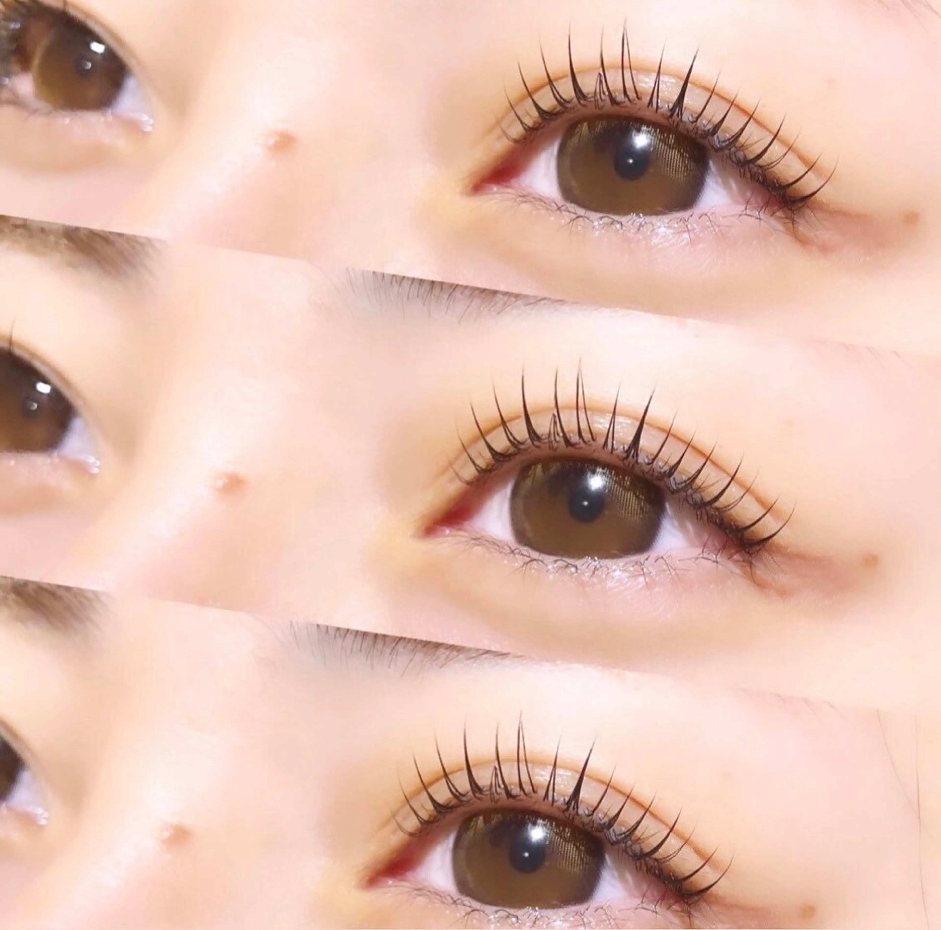 パリジェンヌ🦄🌈の写真