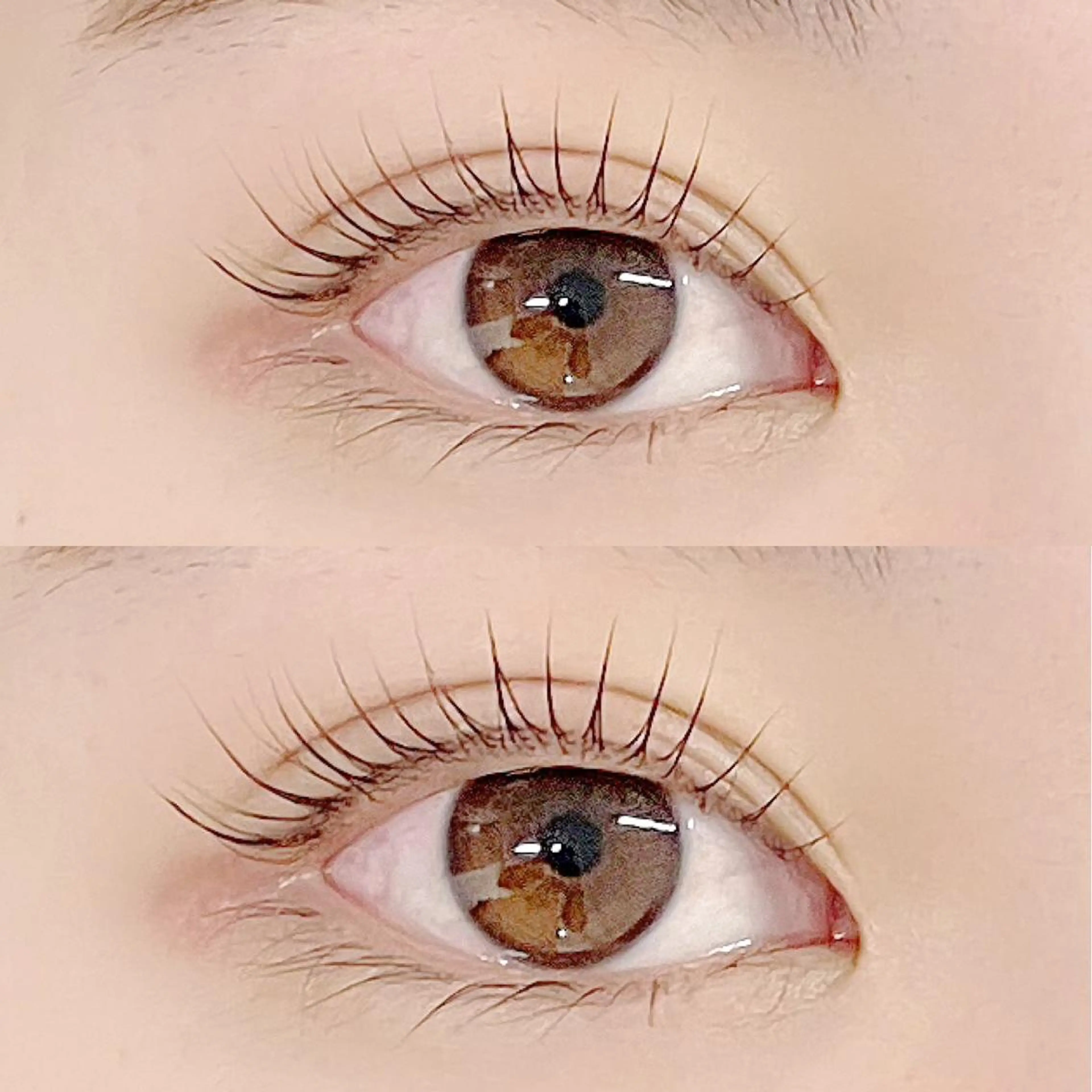 マツエク・マツパ フジ ワラのマツエク・マツパデザイン