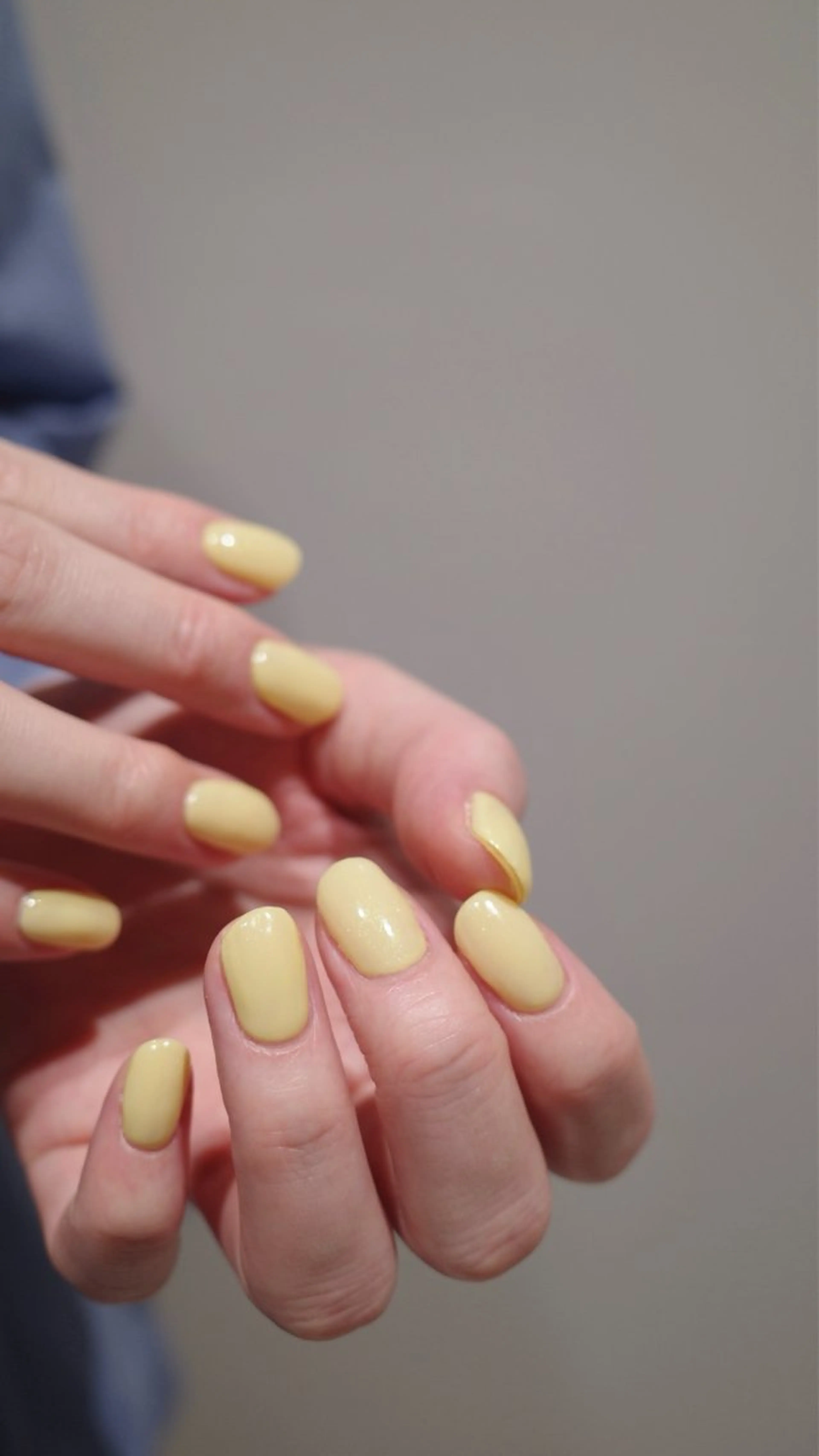 オフのみの写真