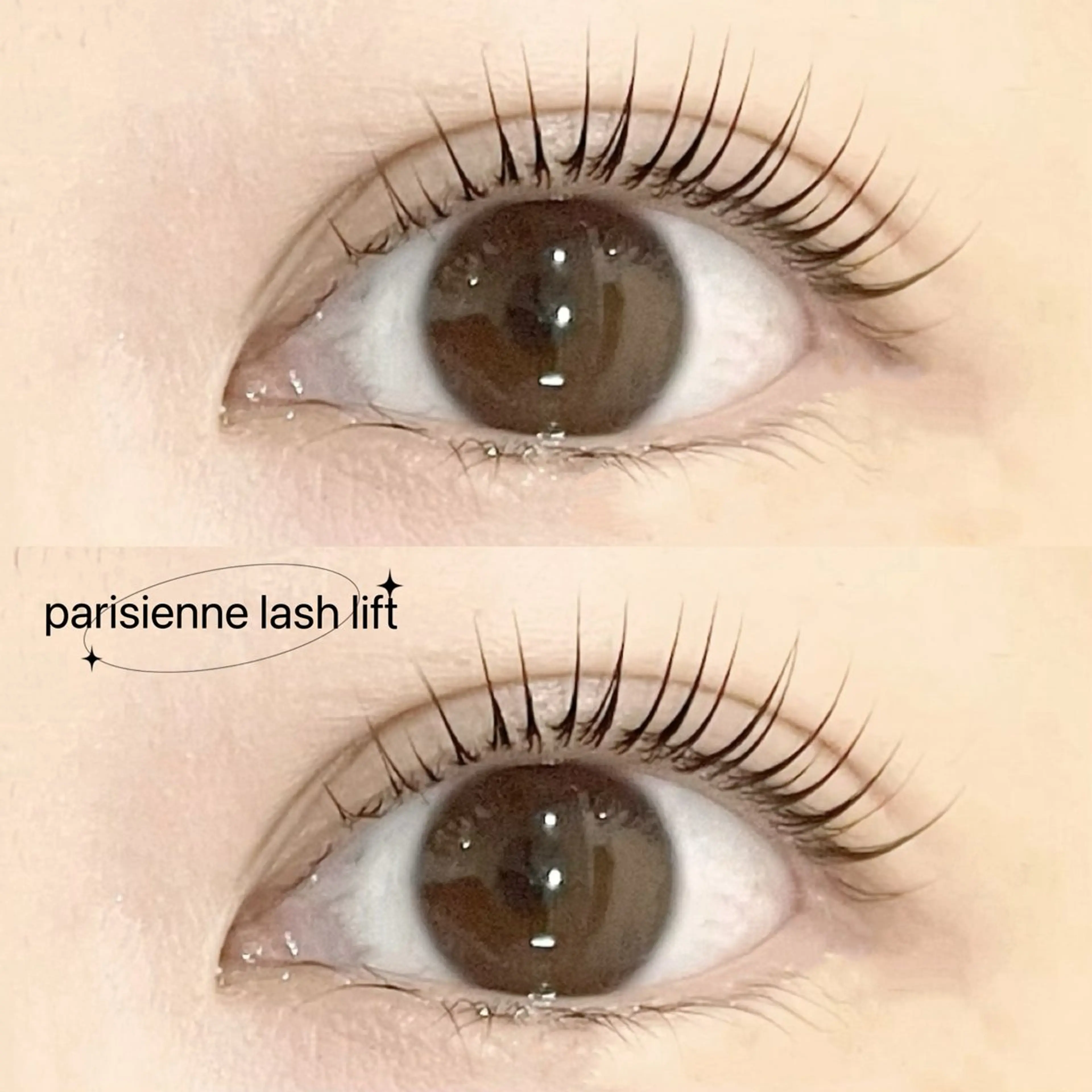 🩷【本日限定】パリジェンヌ➕コーティング🩷の写真