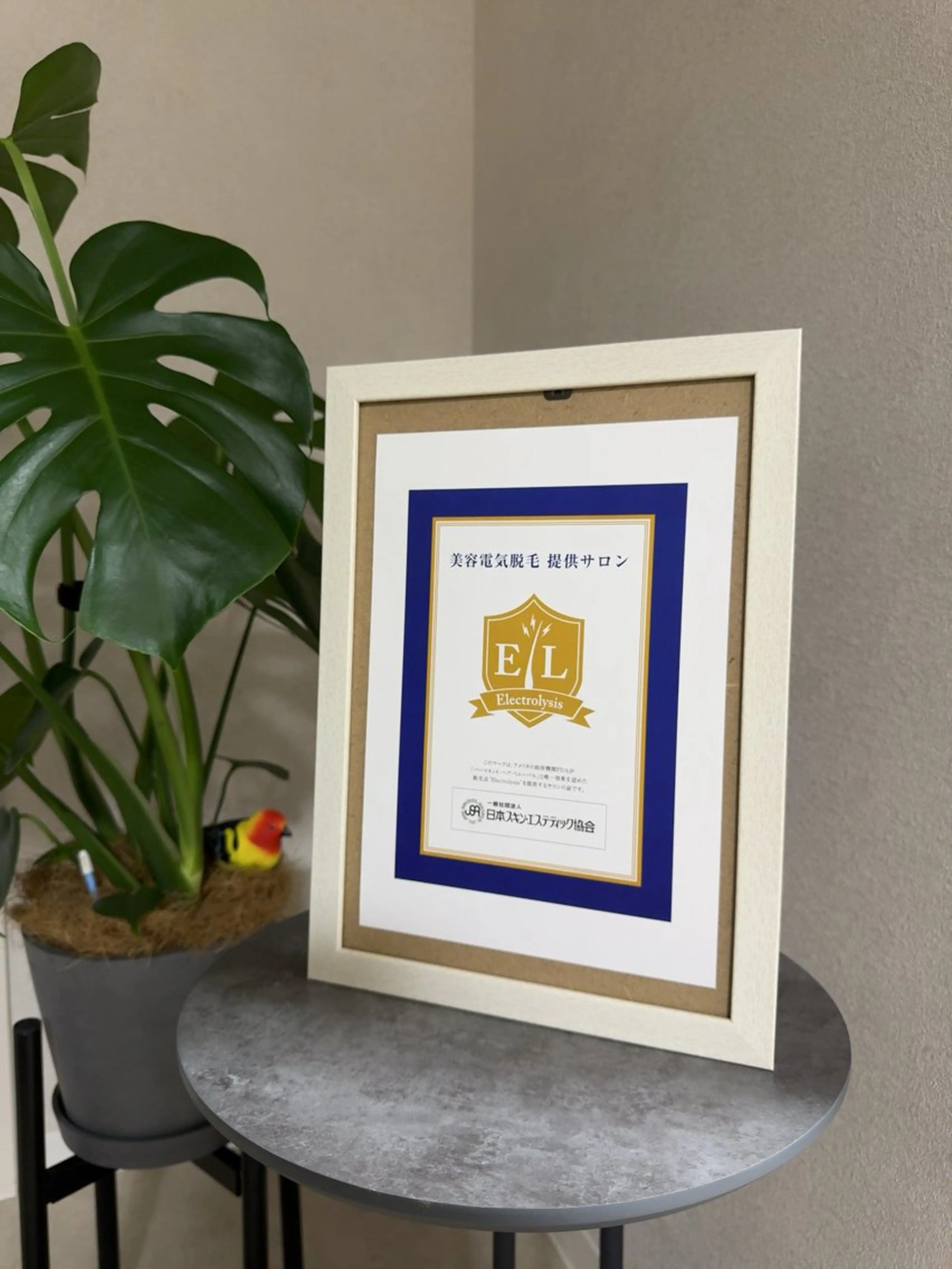 21時まで営業/金山 眉毛/脱毛/まつぱのマツエク・マツパデザイン