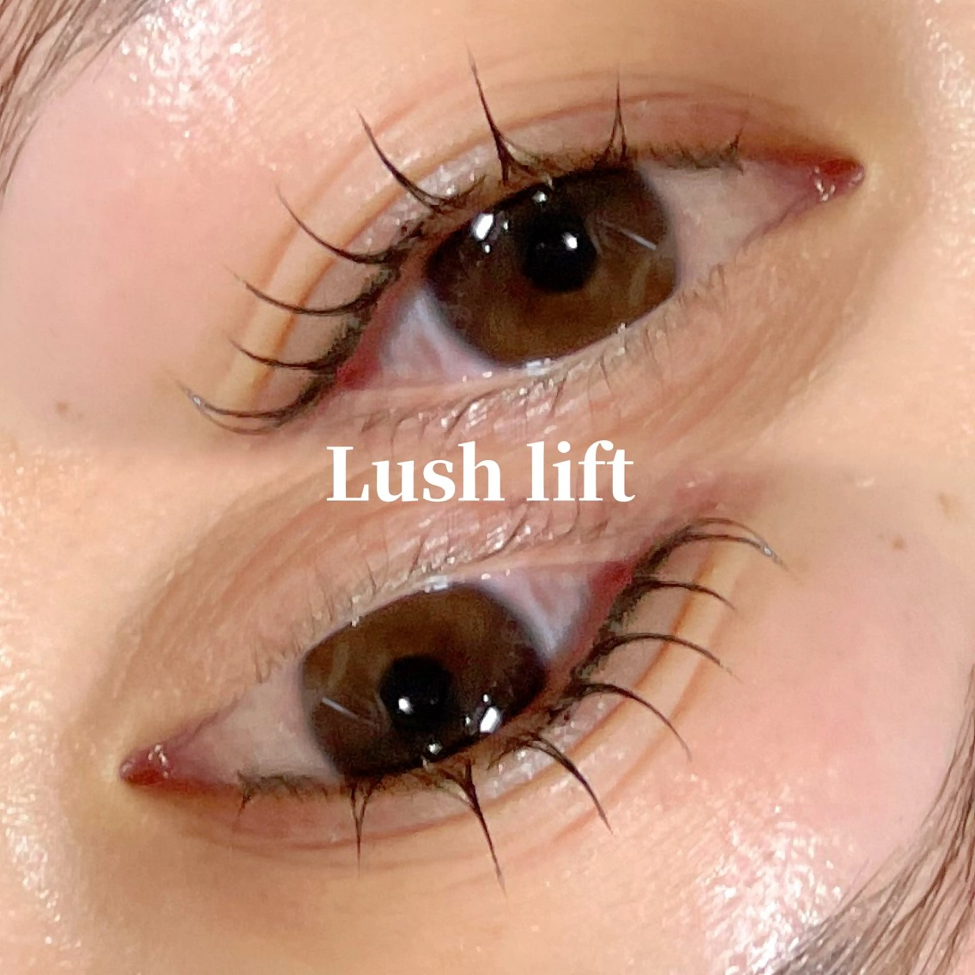 次世代まつ毛パーマの写真