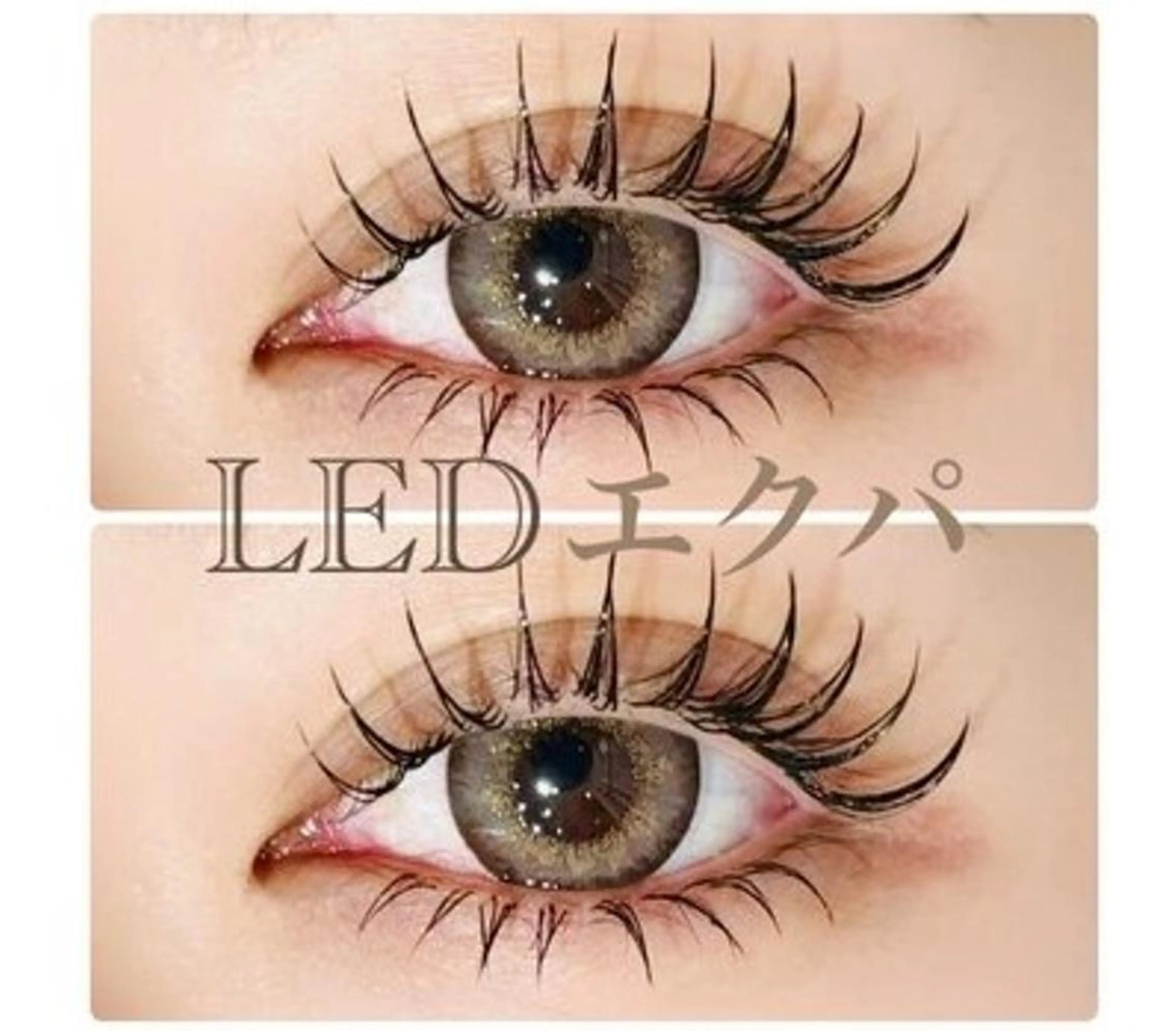 新技術【LEDエクパ】LEDまつエク80本×まつ毛パーマ+TRコーティング仕上げの写真