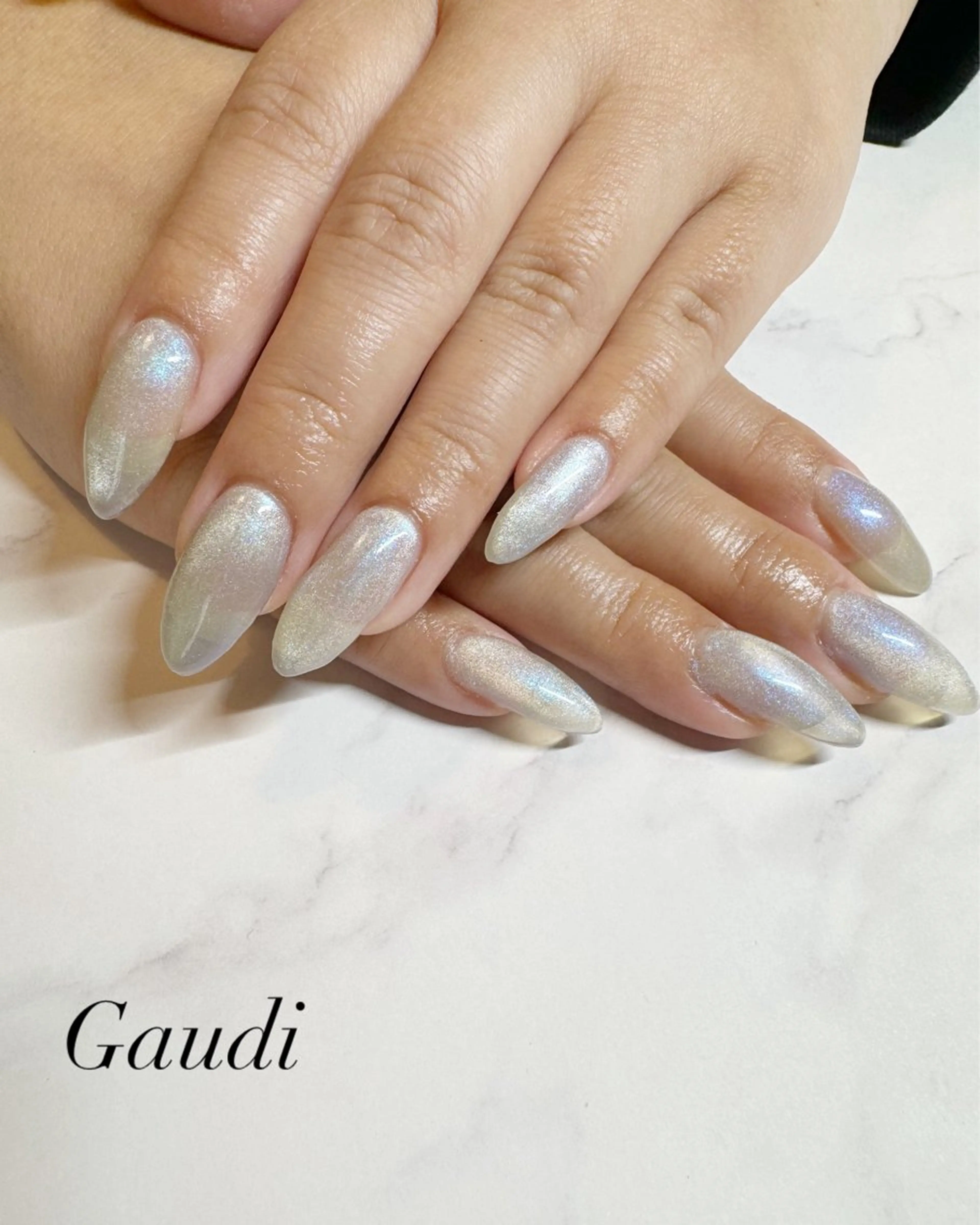 ネイル マグネットネイル Gaudi.Nail Rinaのその他イメージ