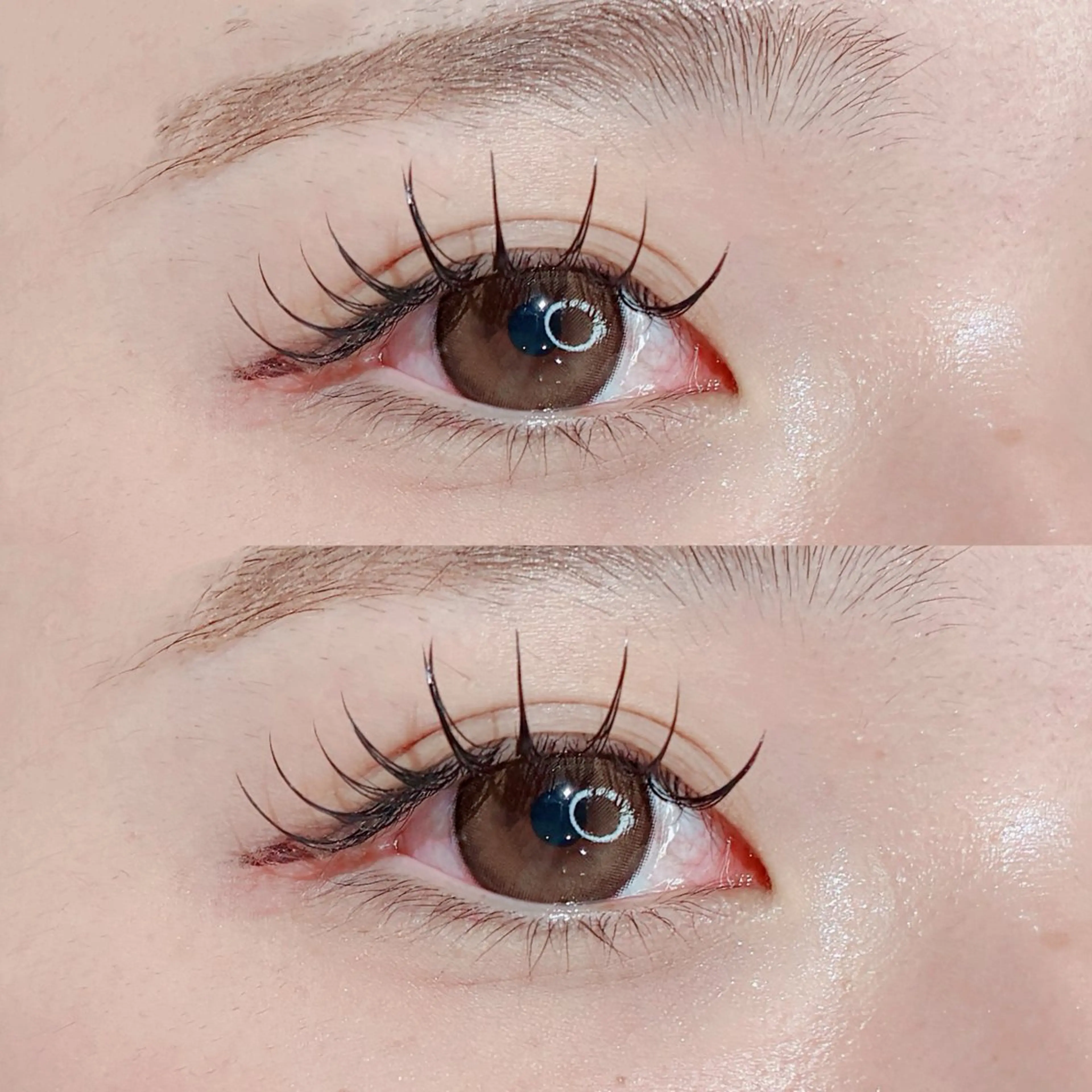 《🕊️ご新規様限定🕊️》フラットラッシュ120本🦋‪𓂃 𓈒𓏸【オフ有り】の写真