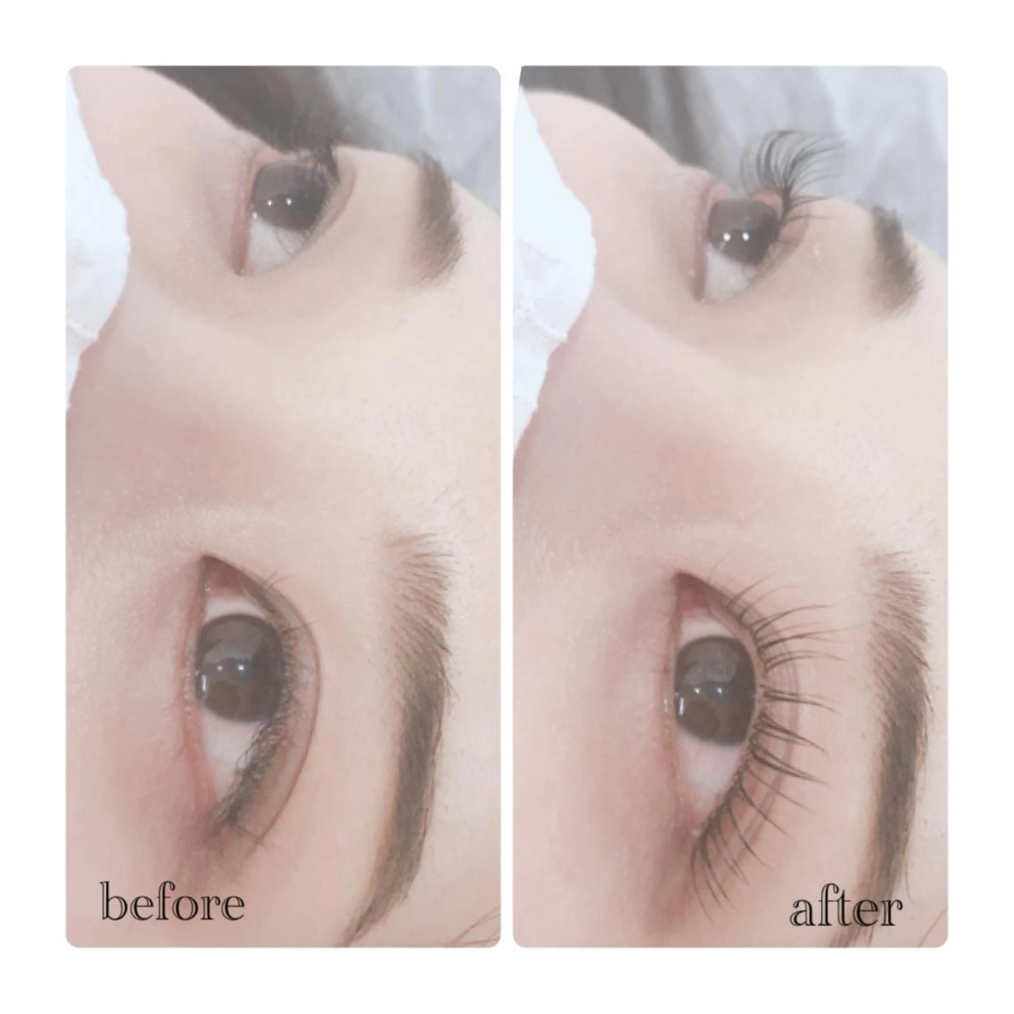 マツエク・マツパ ELLA 菊地のマツエク・マツパデザイン