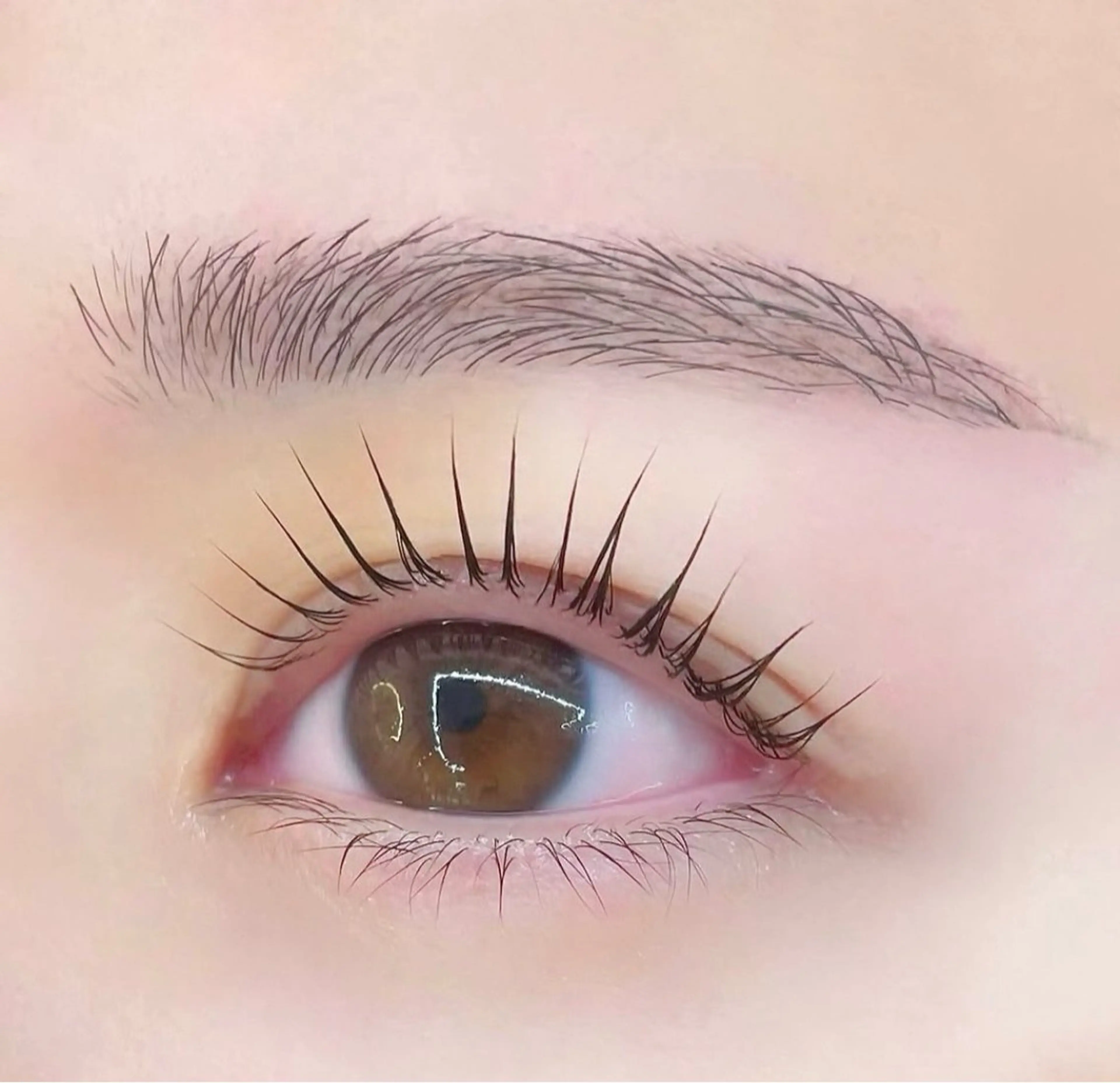 アイブロウ ワックス脱毛 その他(アイブロウ) 松笠 愛理の眉毛・アイブロウイメージ