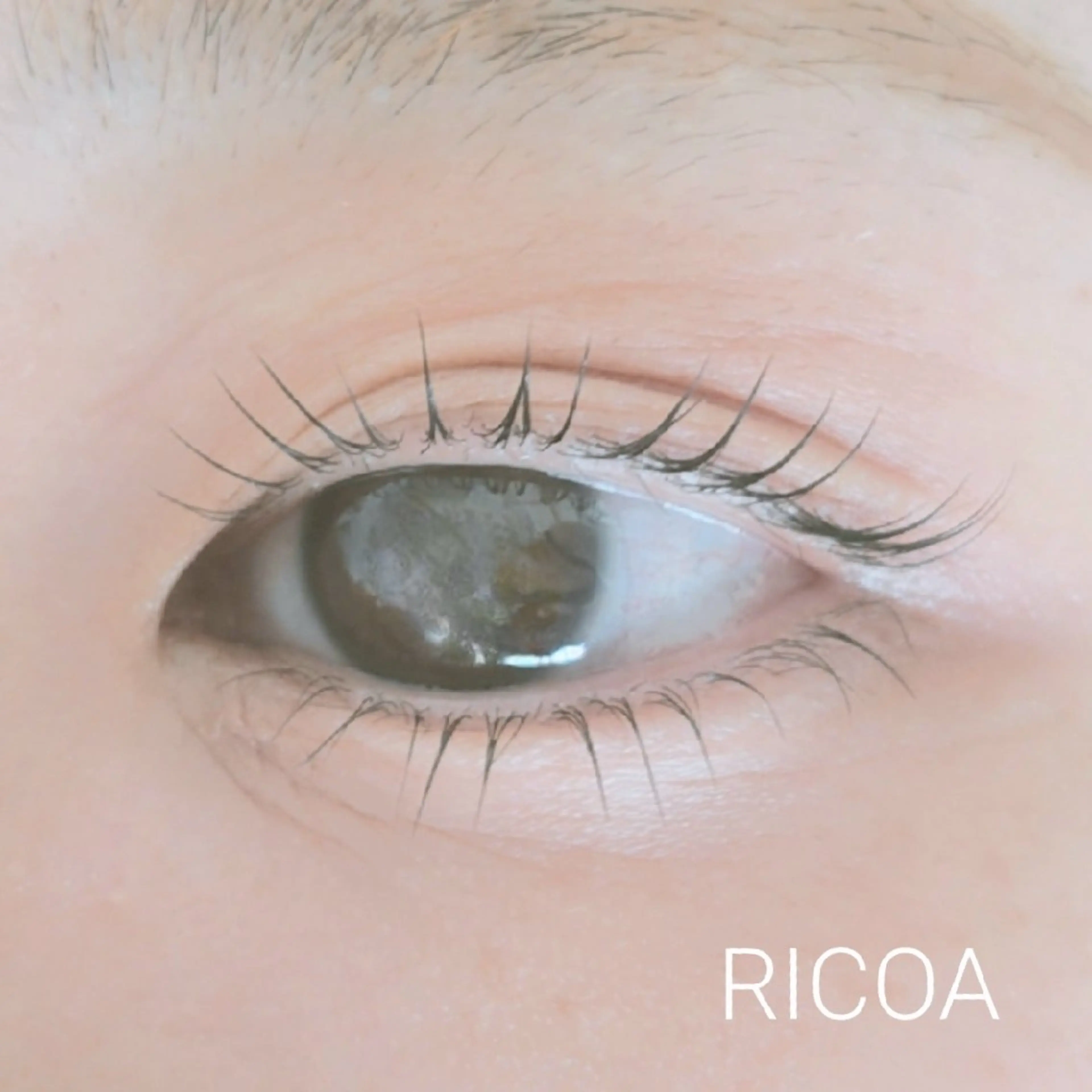 マツエク・マツパ マツパ RICOA 酒井のマツエク・マツパデザイン