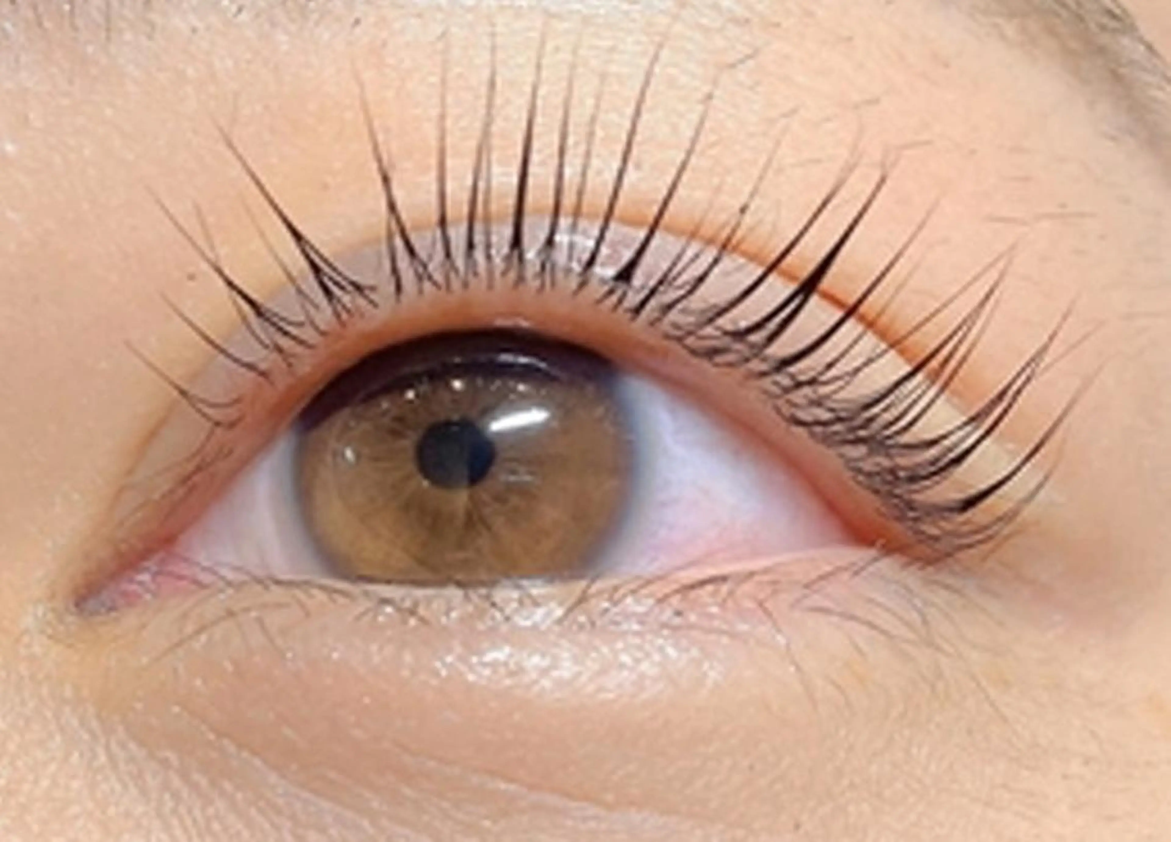 御新規様❤️パリジェンヌ or ラッシュリフト　6600円→4400円💕（オフ＋栄養剤＋コーティング付）の写真