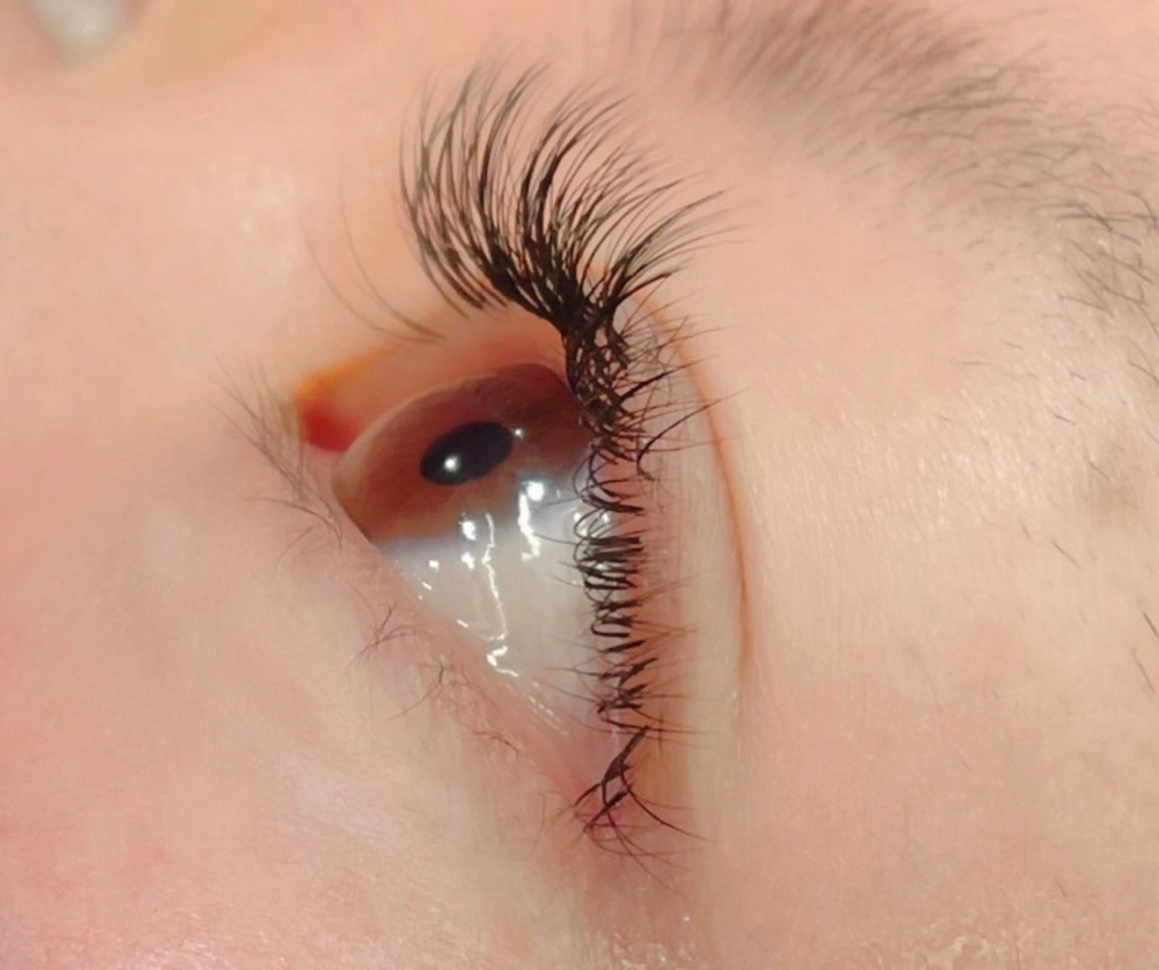 マツエク・マツパ アトリエ ネッコのヘアスタイル