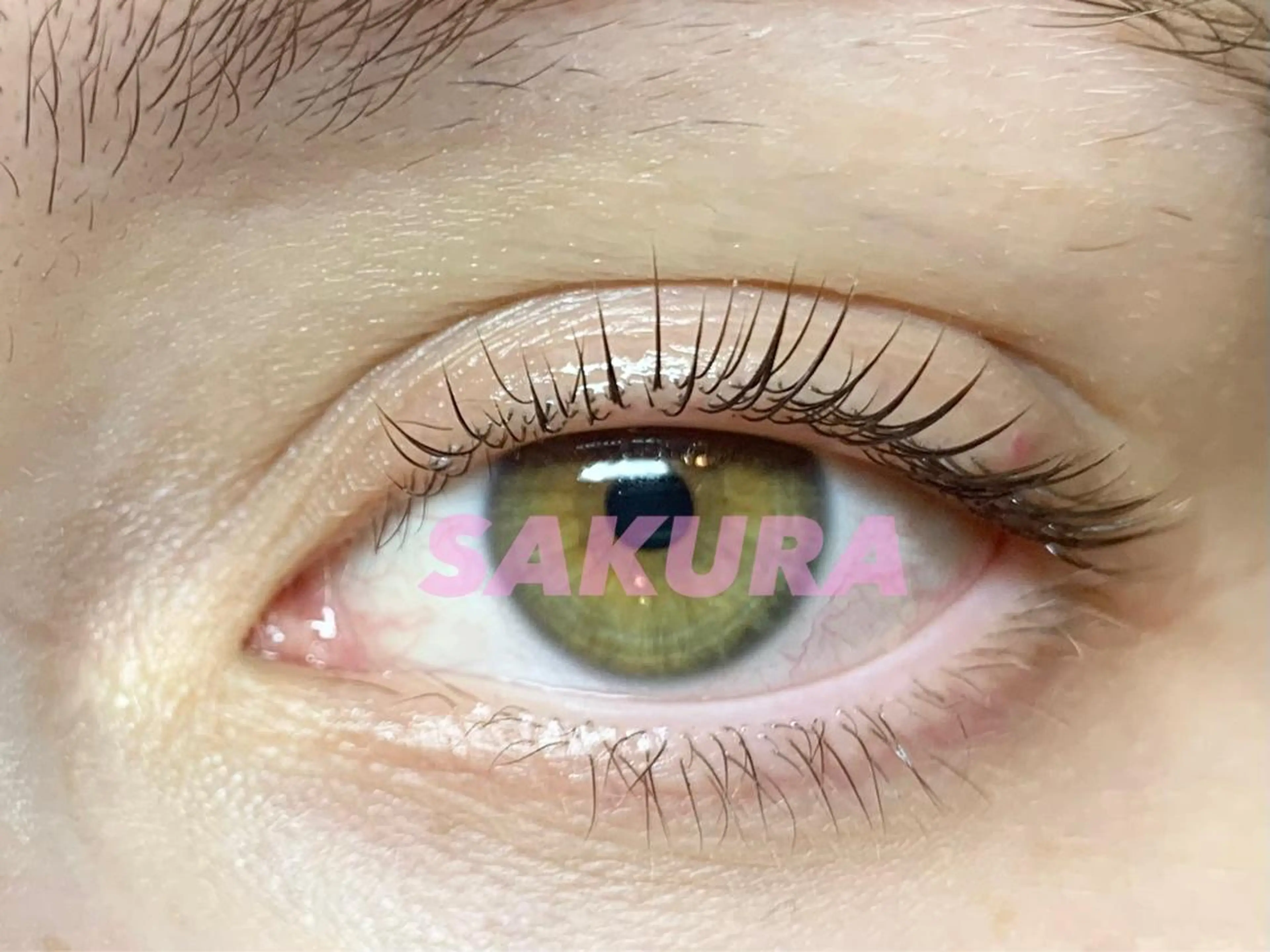 マツエク・マツパ マツパ まつ毛エクステ&HIFU専門店 SAKURA【サクラ】心斎橋店所属・SAKURA心斎橋 ヒロコのマツエク・マツパデザイン