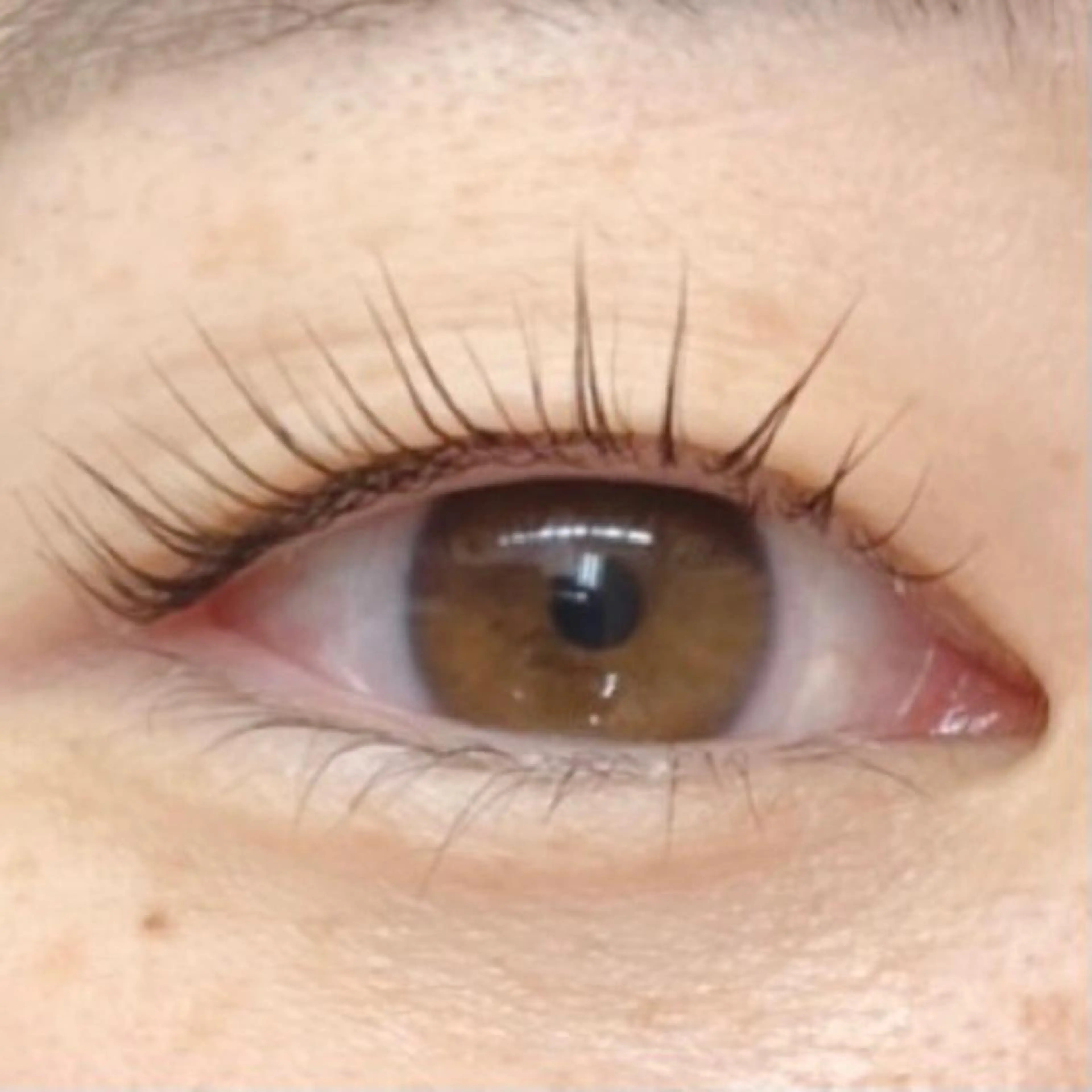 マツエク・マツパ Baby step.nのマツエク・マツパデザイン