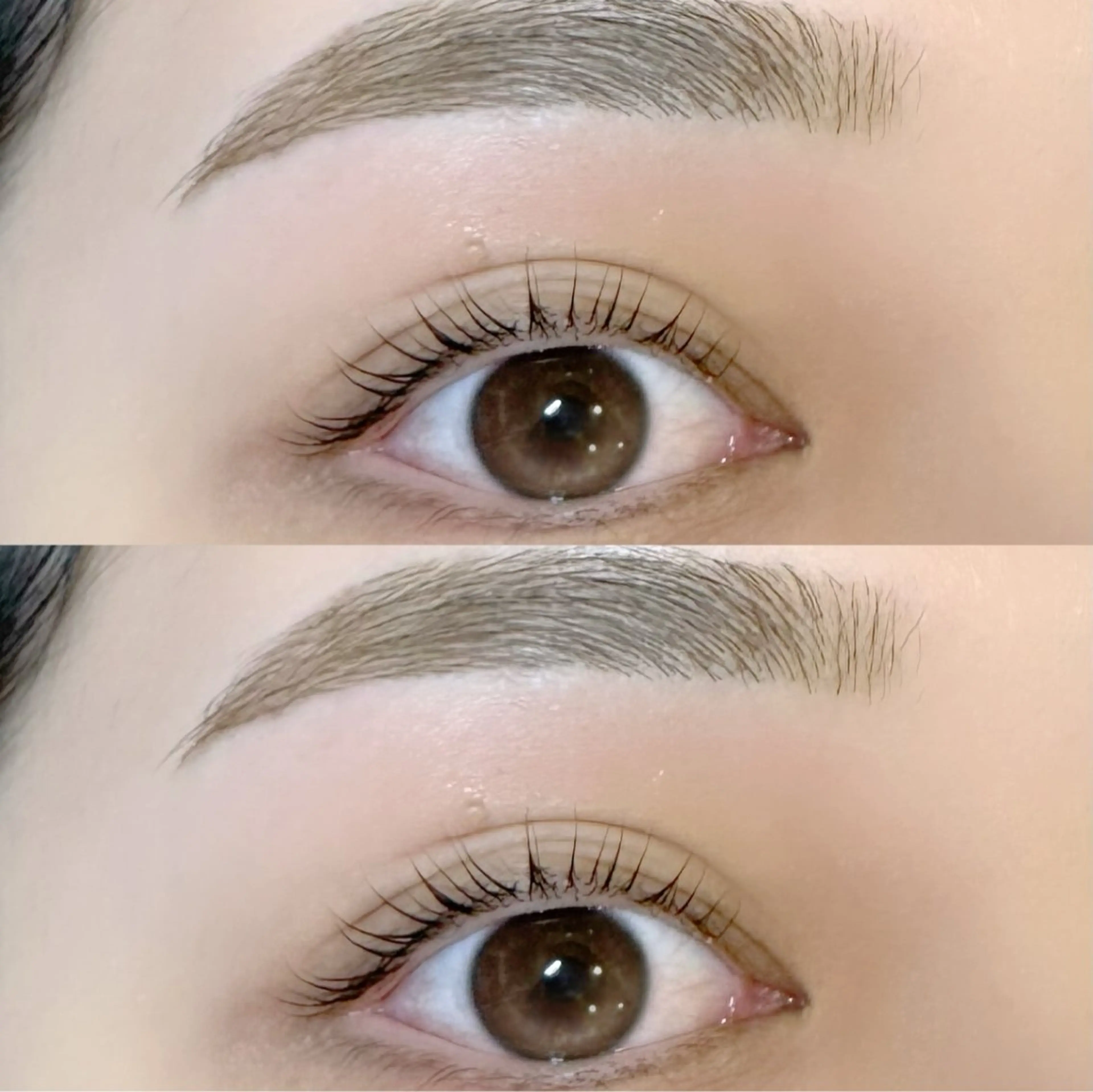 ラッシュリフト+アイブロウwaxセットの写真