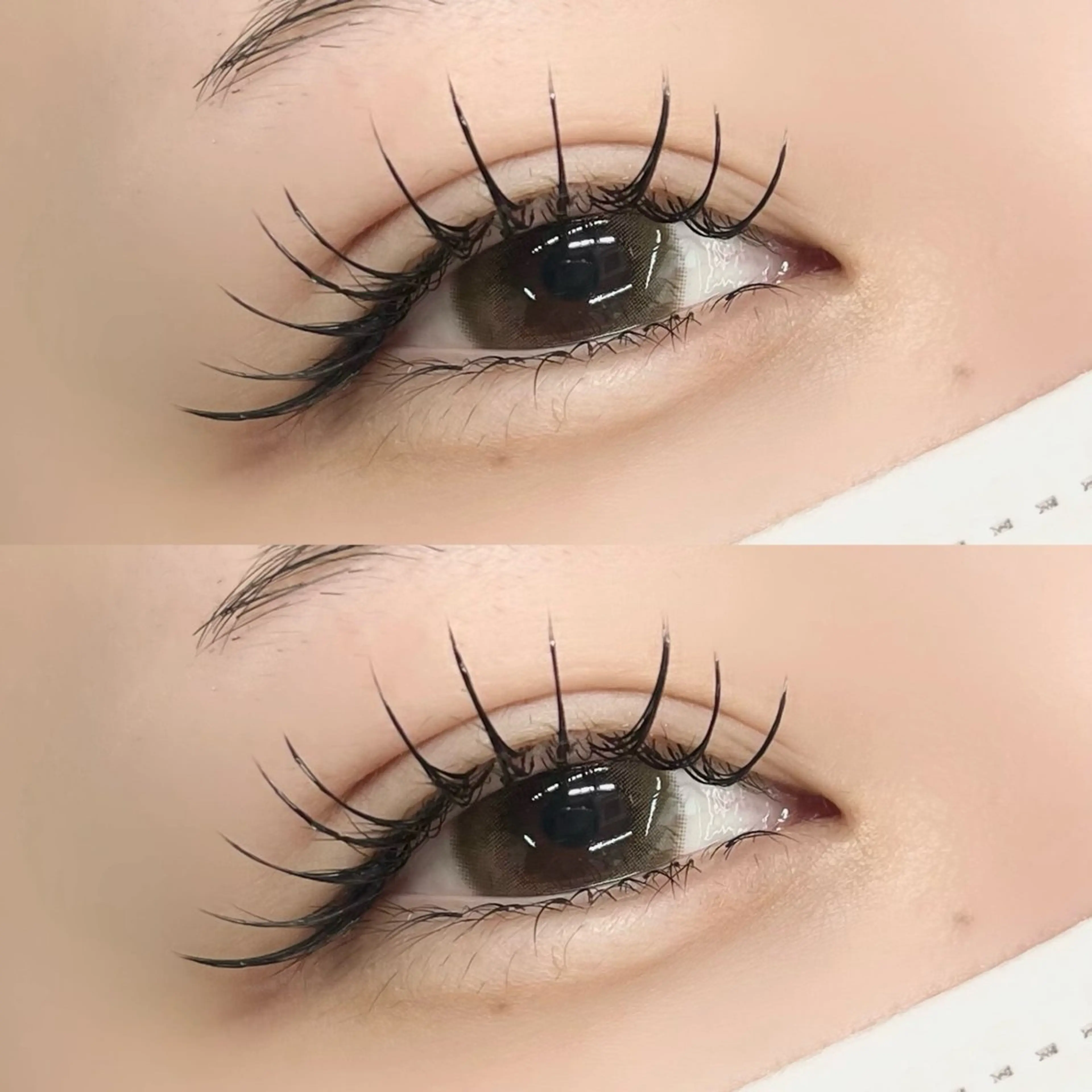 マツエク・マツパ マツエク 【LILY】伊沢/ バインド/パリ/エクのマツエク・マツパデザイン