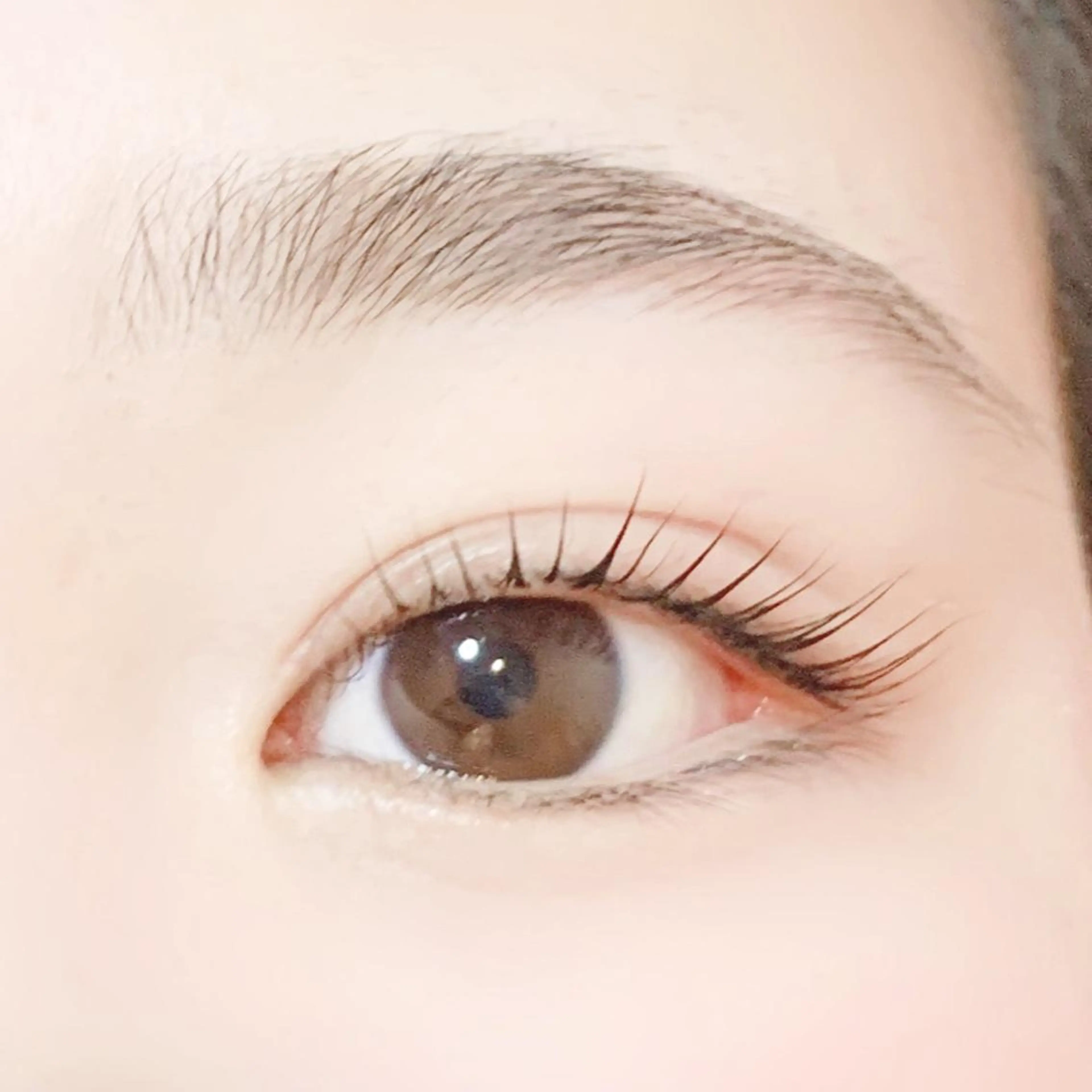 マツエク・マツパ Refrain  ルフラン所属・Refrain ルフランのマツエク・マツパデザイン