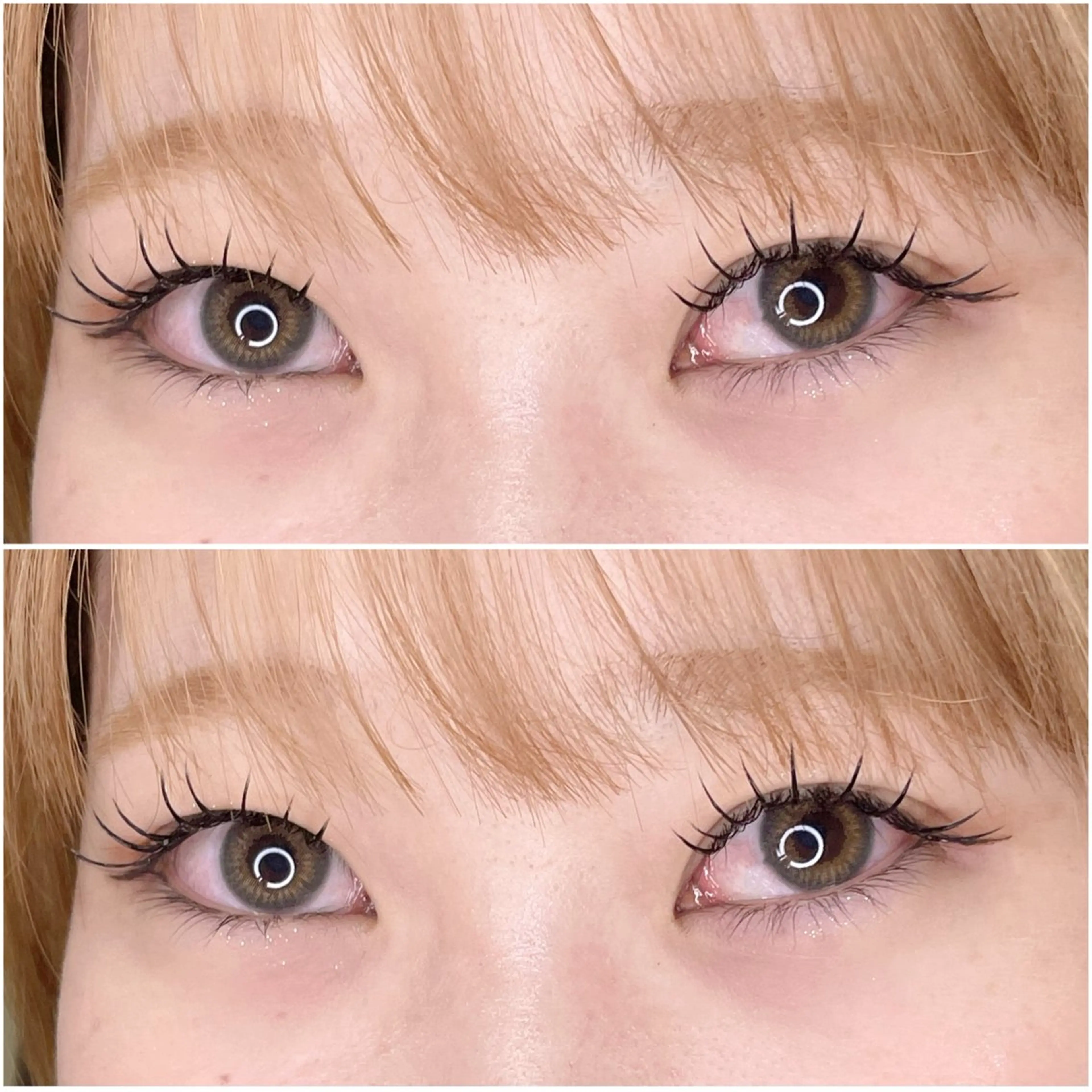 プレミアムカシミヤフラットラッシュ 120本🌱【オフ込み】の写真