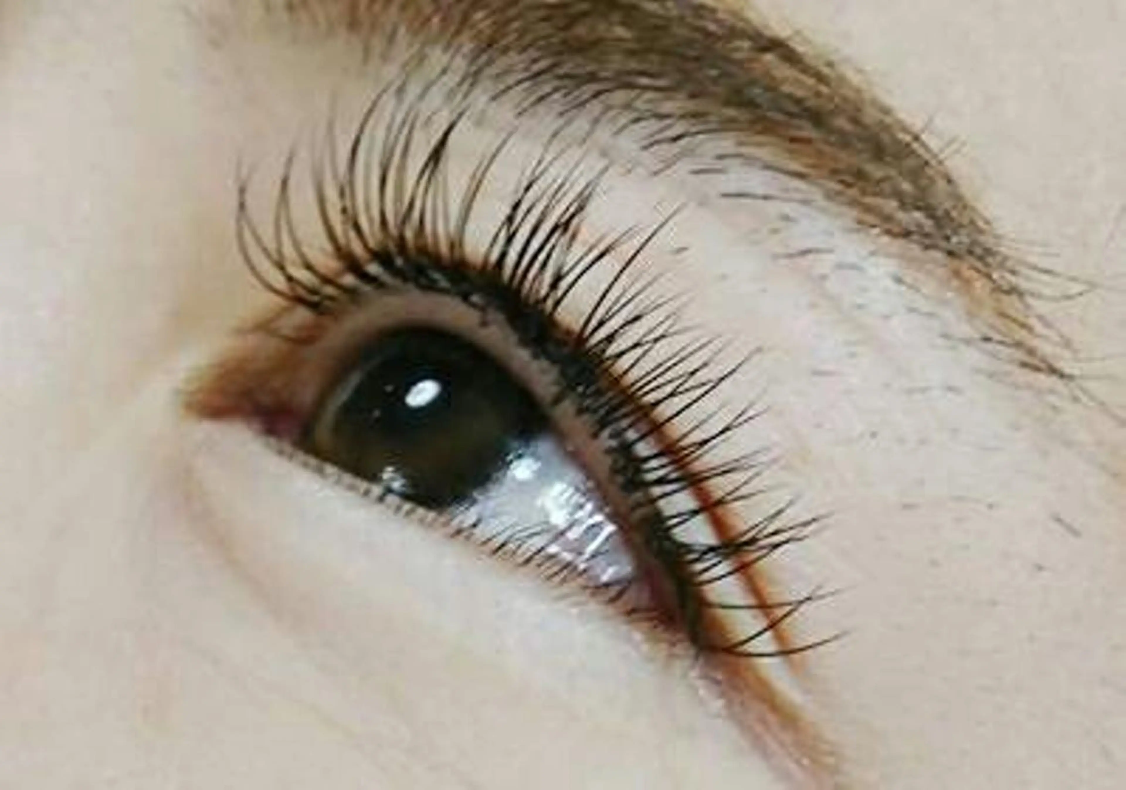 マツエク・マツパ キュート アネラ 北本店のマツエク・マツパデザイン