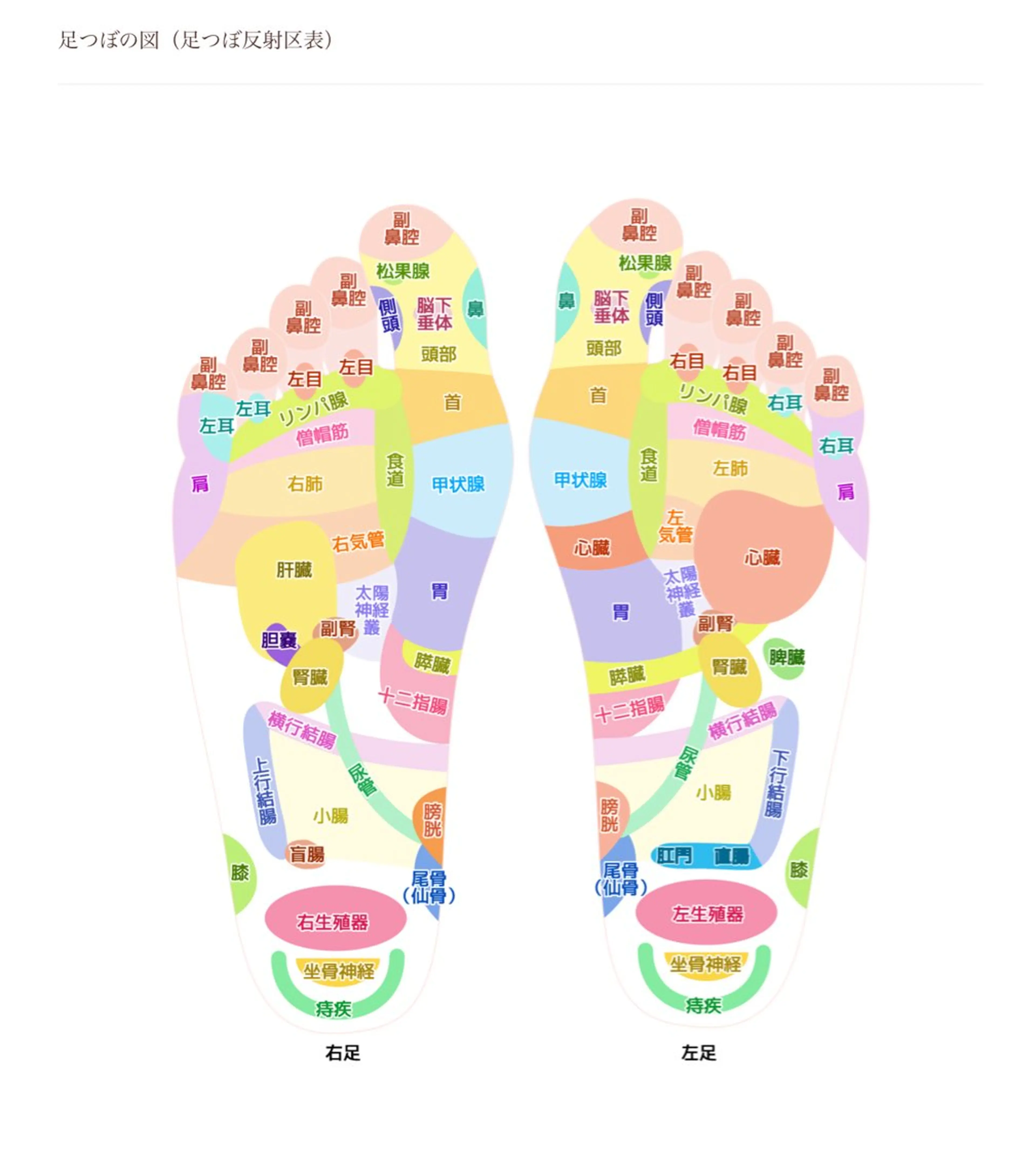【鍼灸サロン　にった】所属・はりきゅう整体 新田鍼灸院のエステ・リラクイメージ