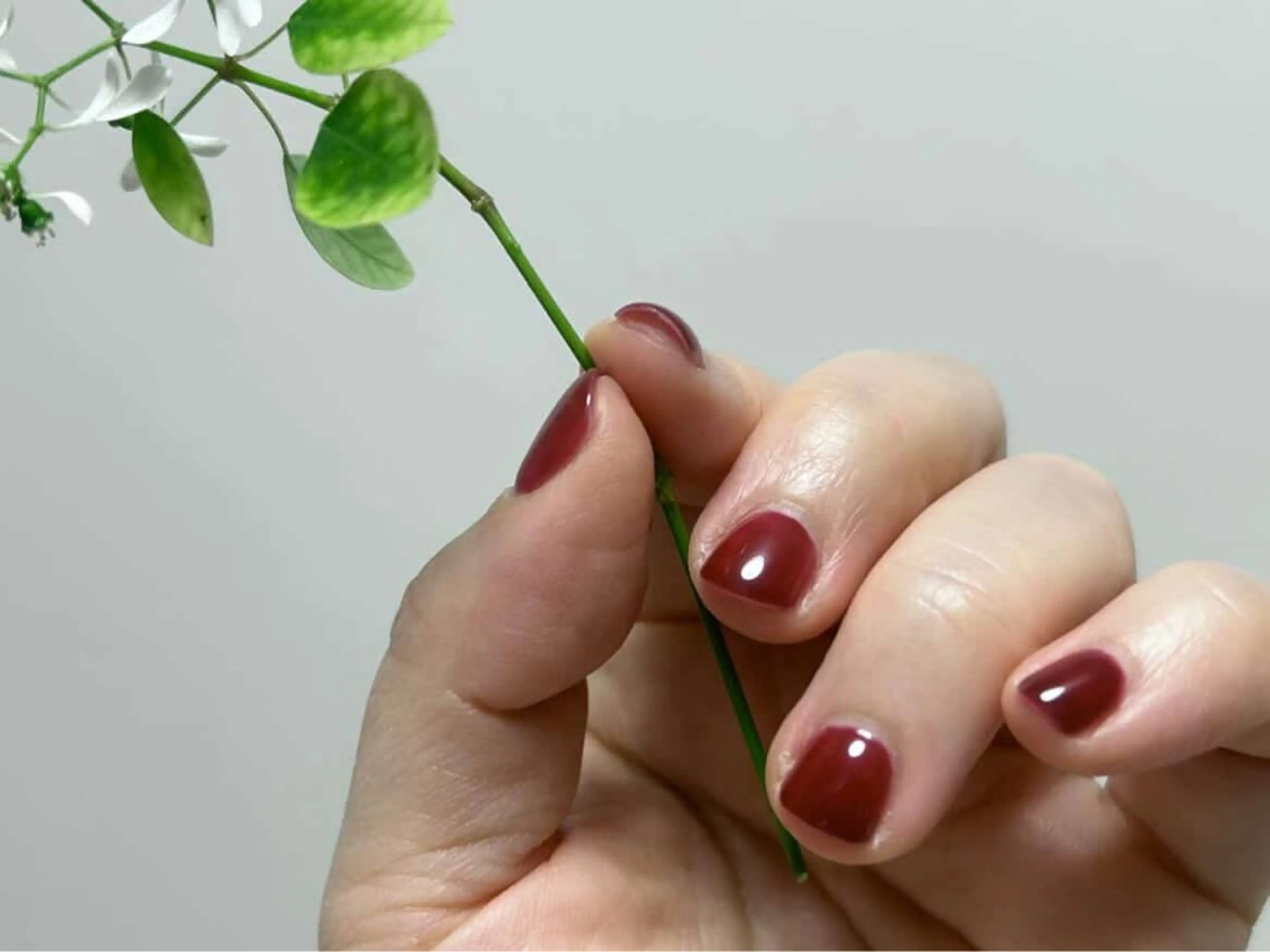 ネイル C Annaのネイルデザイン