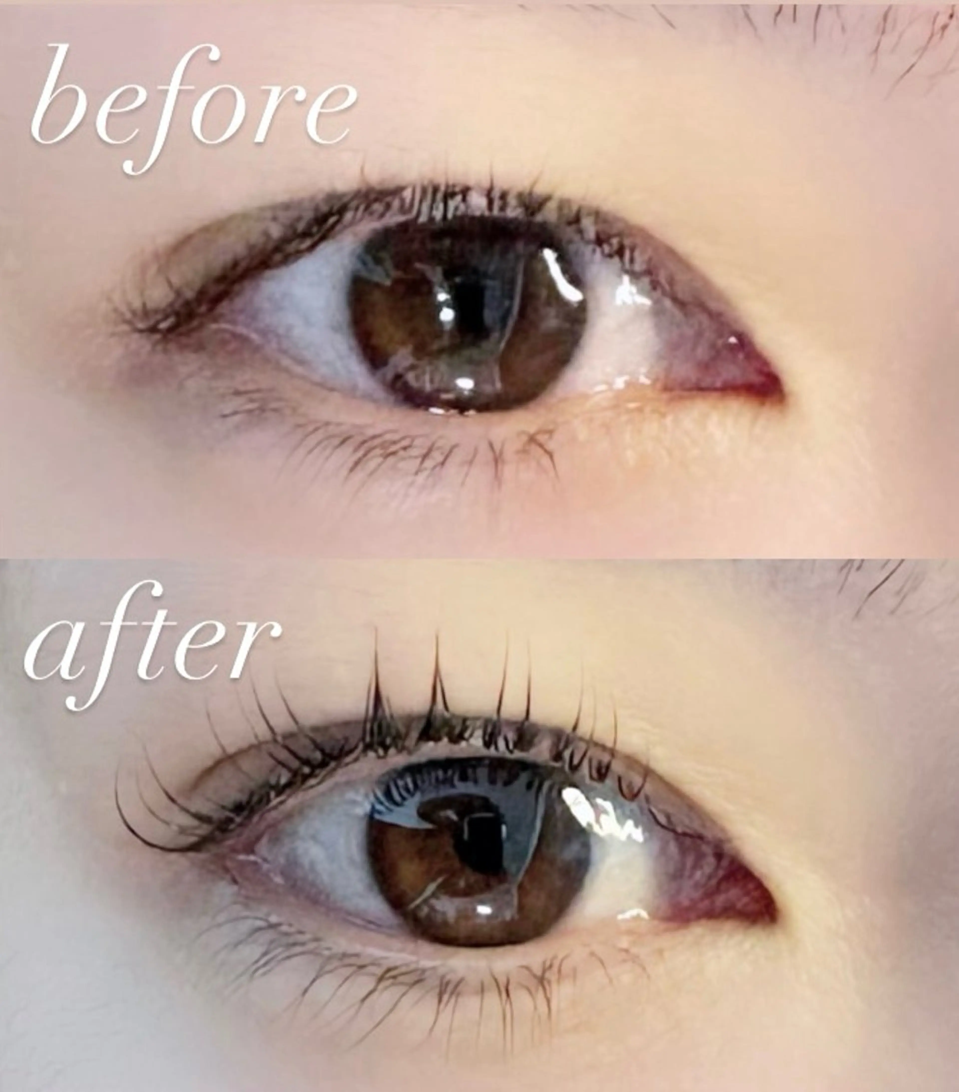 マツエク・マツパ 一重×まつ毛パーマ Nel miwaのマツエク・マツパデザイン