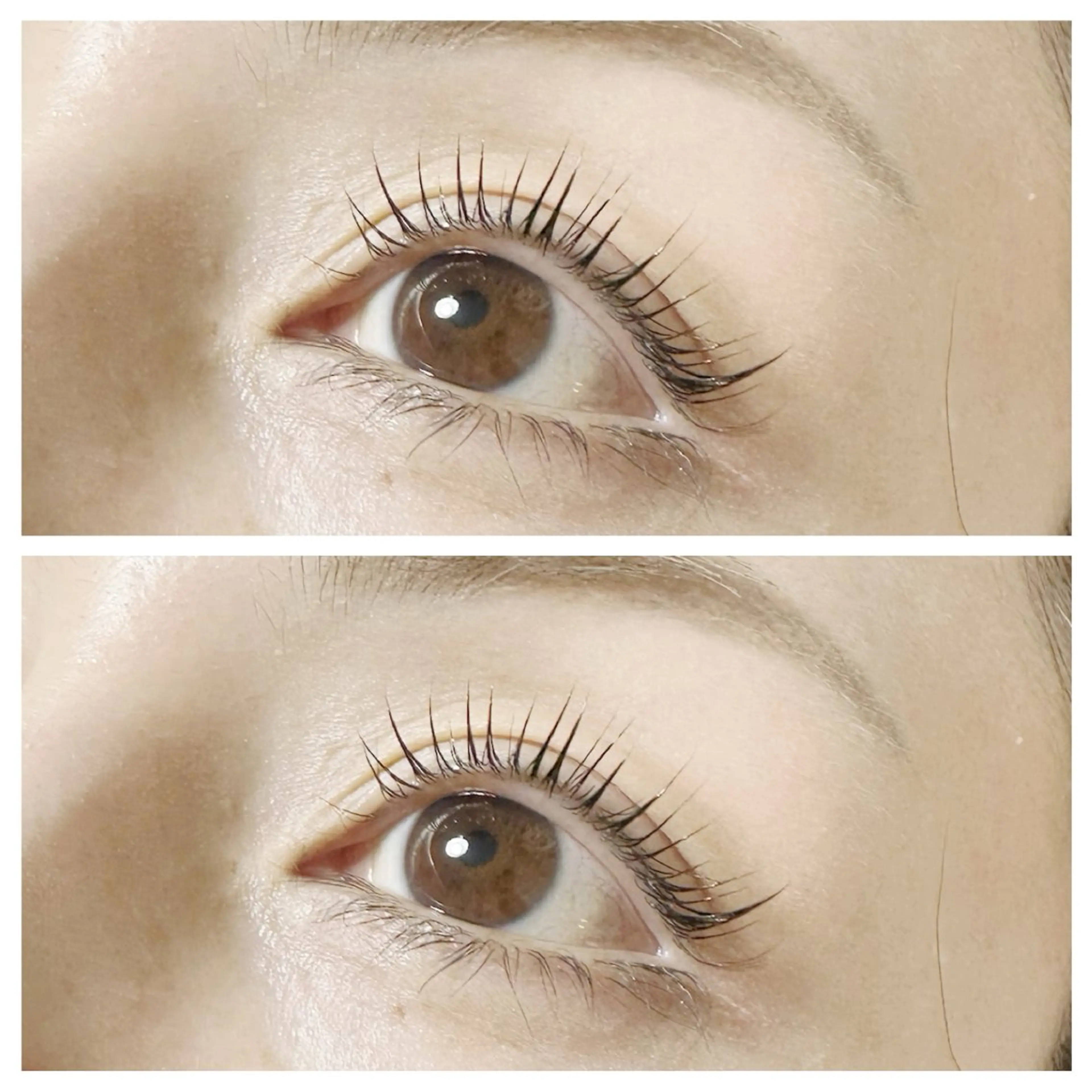 マツエク・マツパ マツパ plume eyelashのマツエク・マツパデザイン