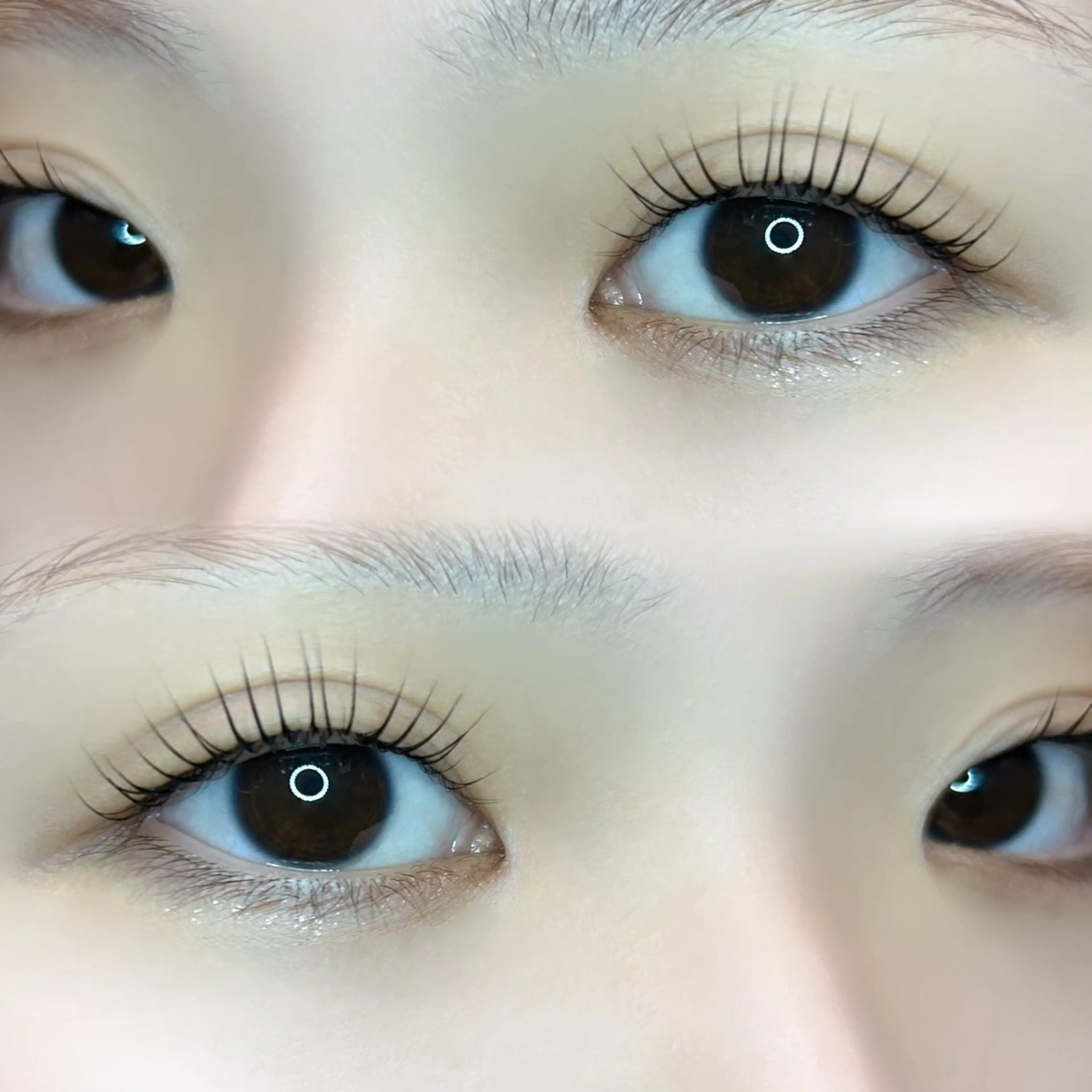 マツエク・マツパ 🍀fein. sakura🍀の眉毛・アイブロウイメージ