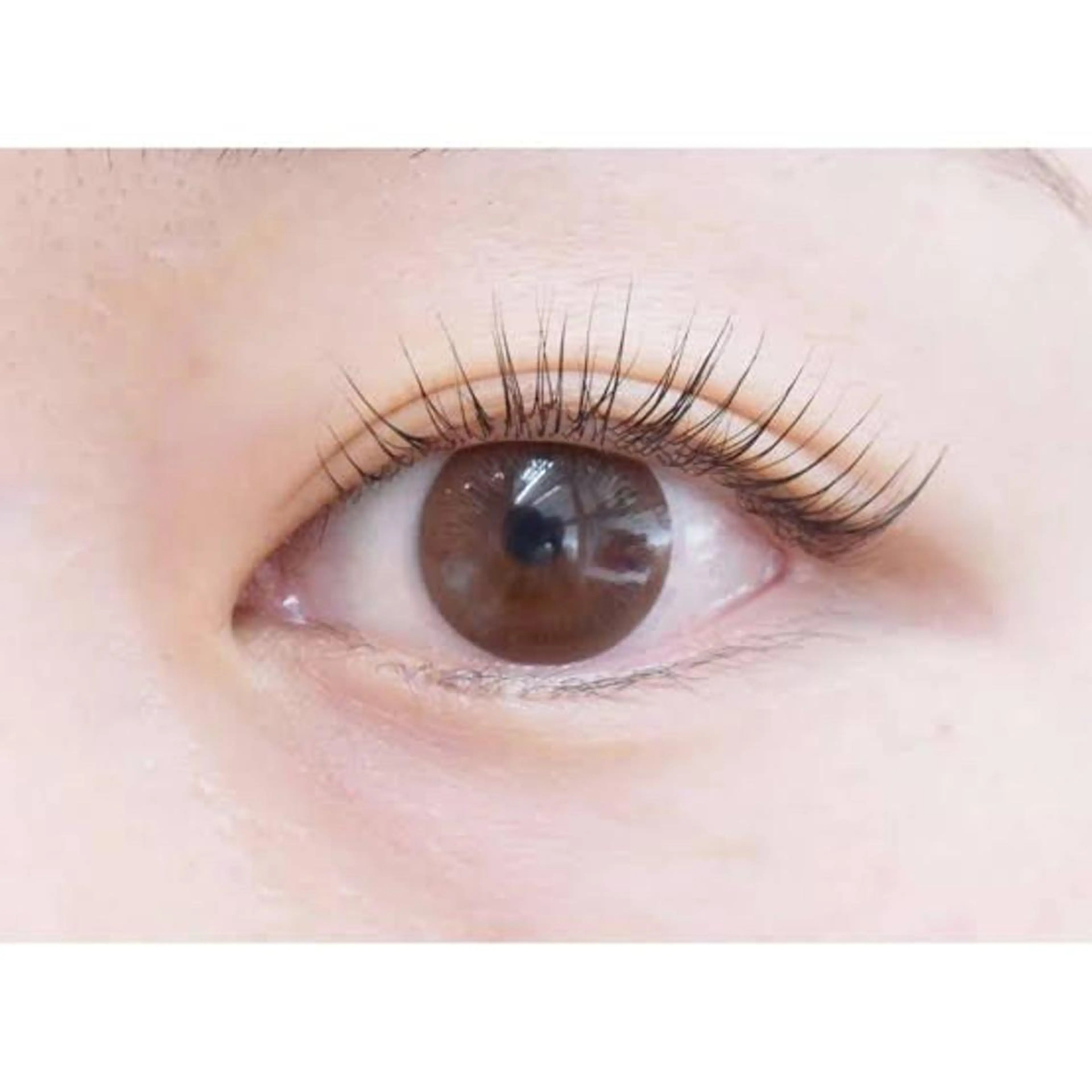 【ドキっとする目元に】1番人気パリジェンヌラッシュリフトの写真