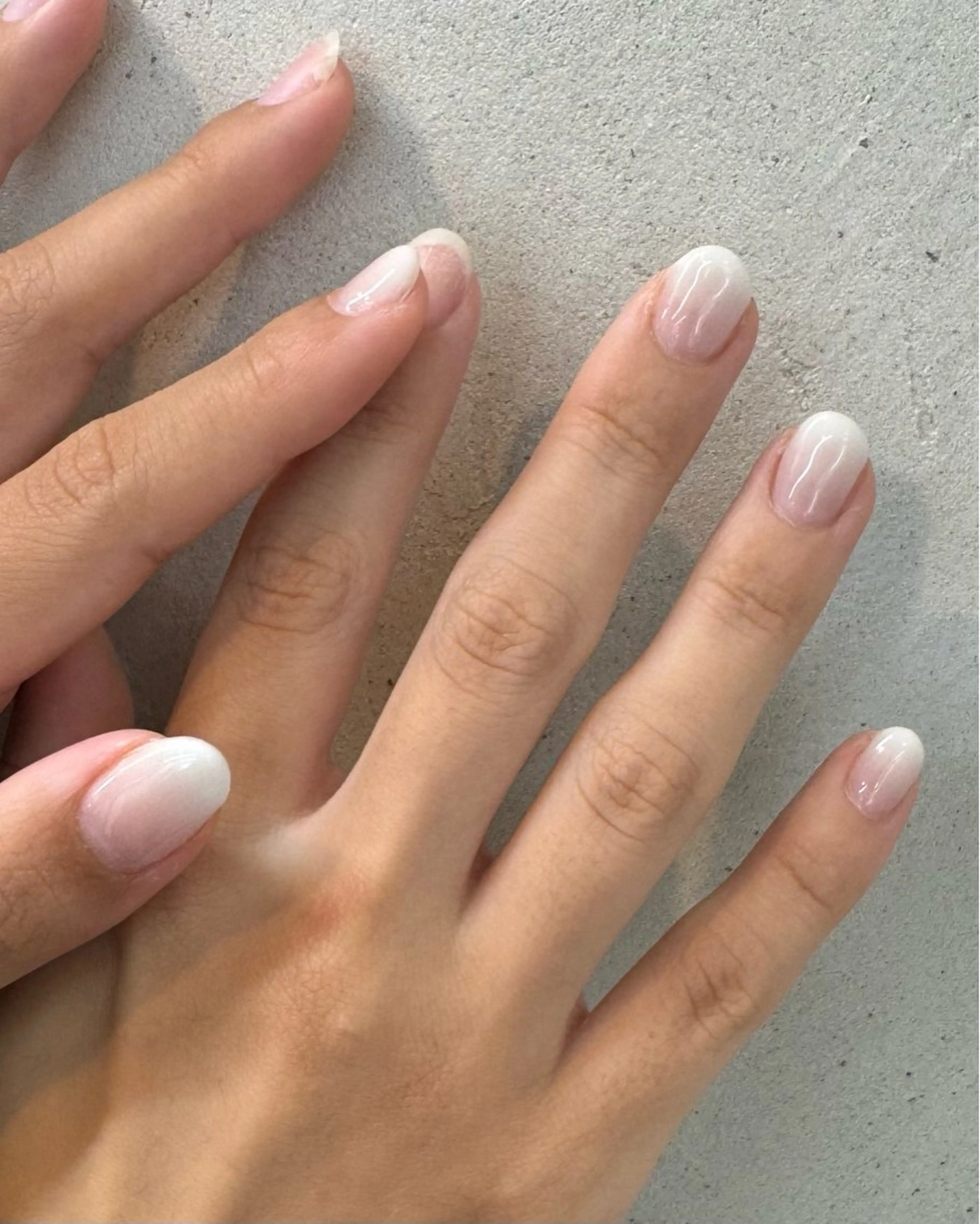 【オフあり】グラデーションの写真