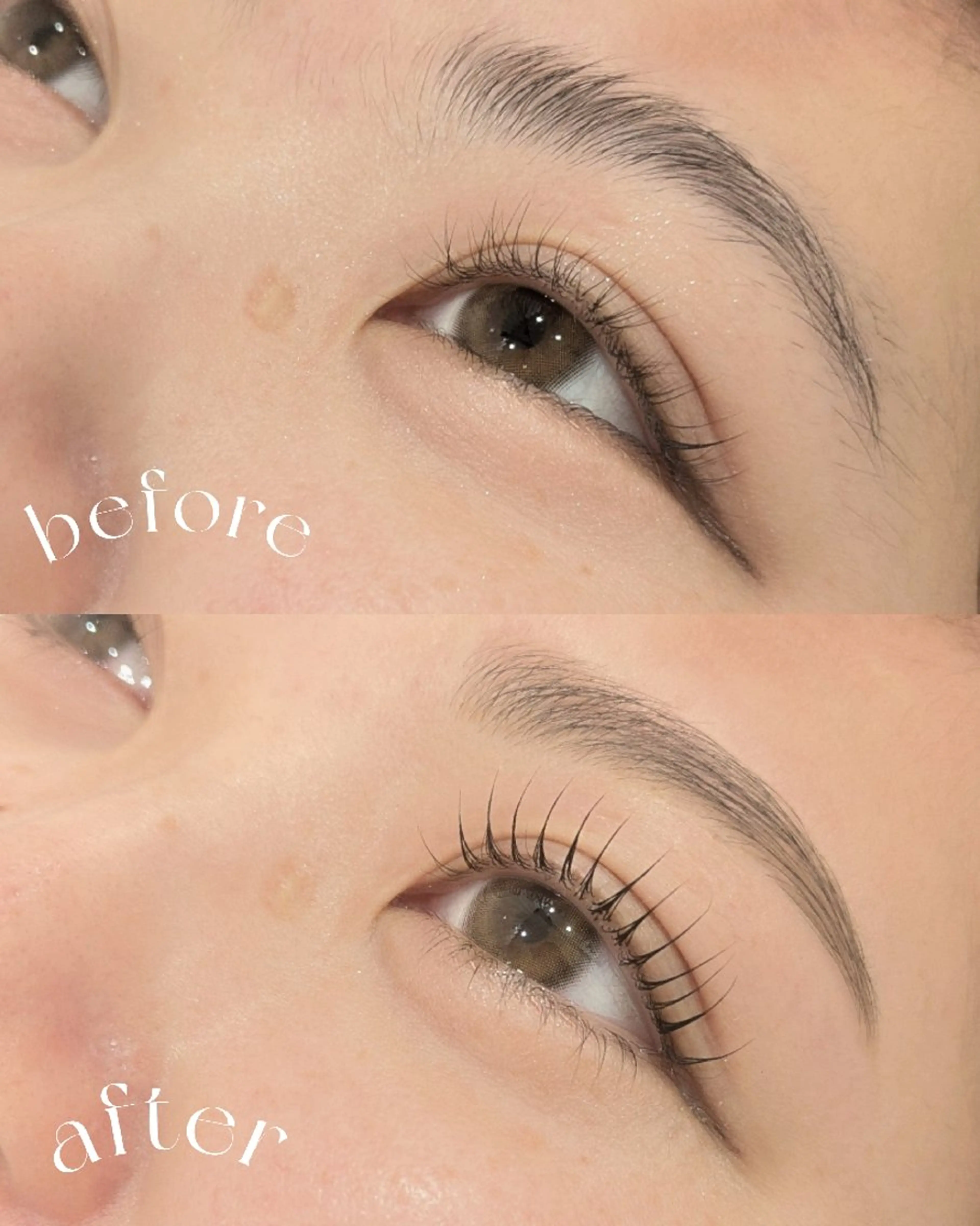 まつ毛パーマ+アイブロウwax♡setmenuの写真