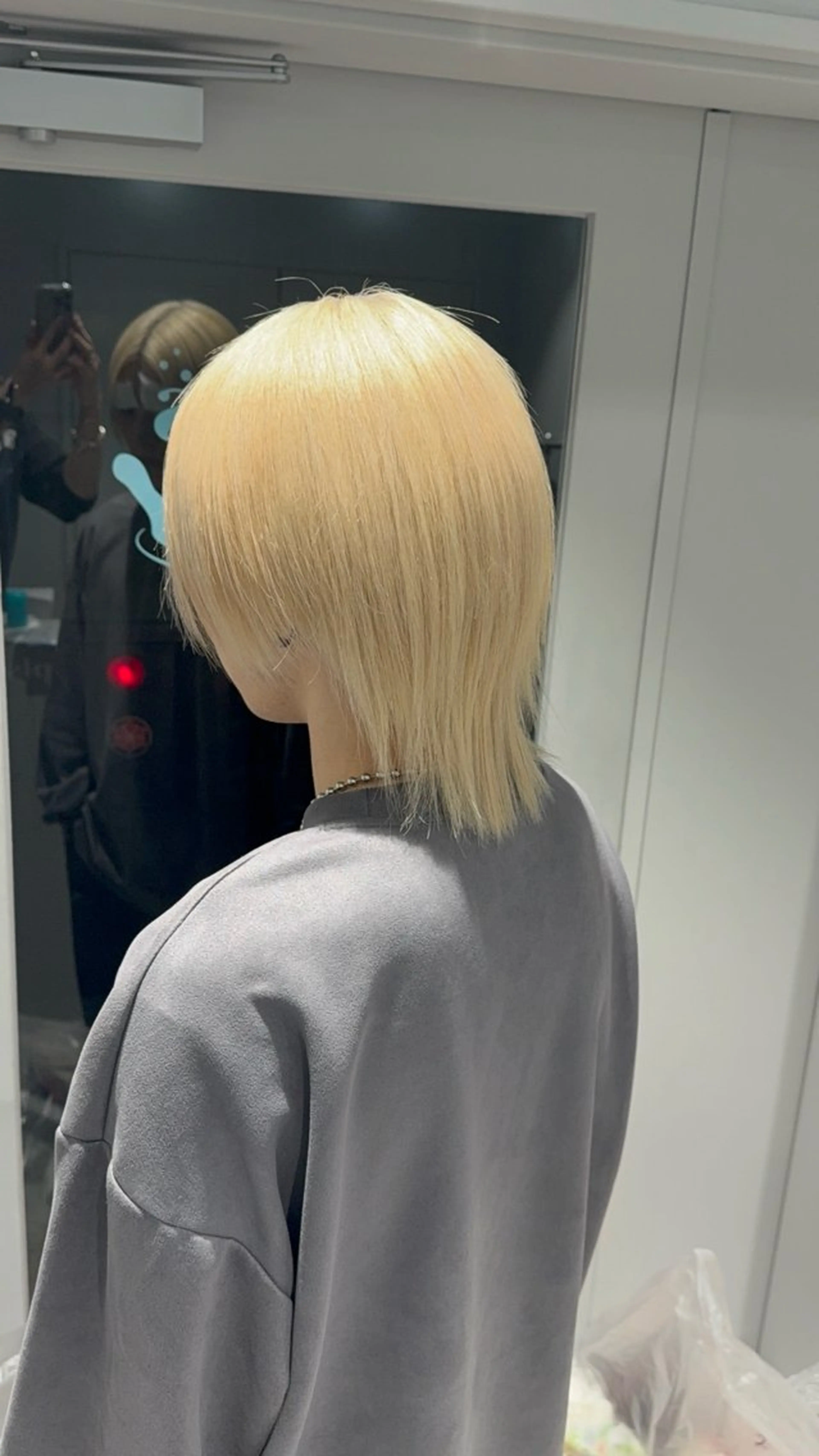 カラー ブリーチ ハイトーンカラー ウルフカット指名 No. 1橘しゅうとのヘアスタイル