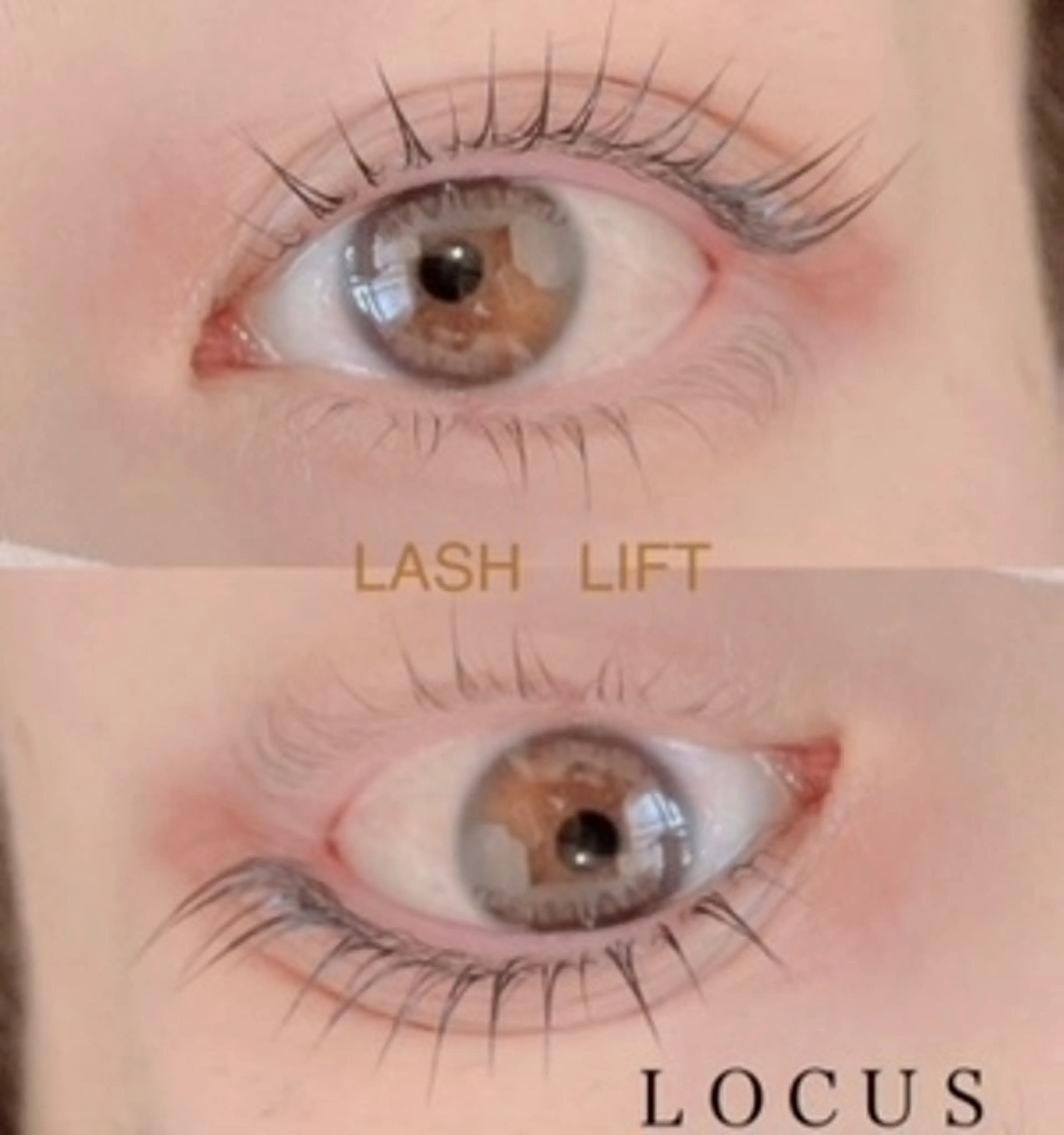 L3リフト【次世代まつ毛パーマ】eyeシート・eyeシャンプー・幹細胞配合コーティング美容液の写真