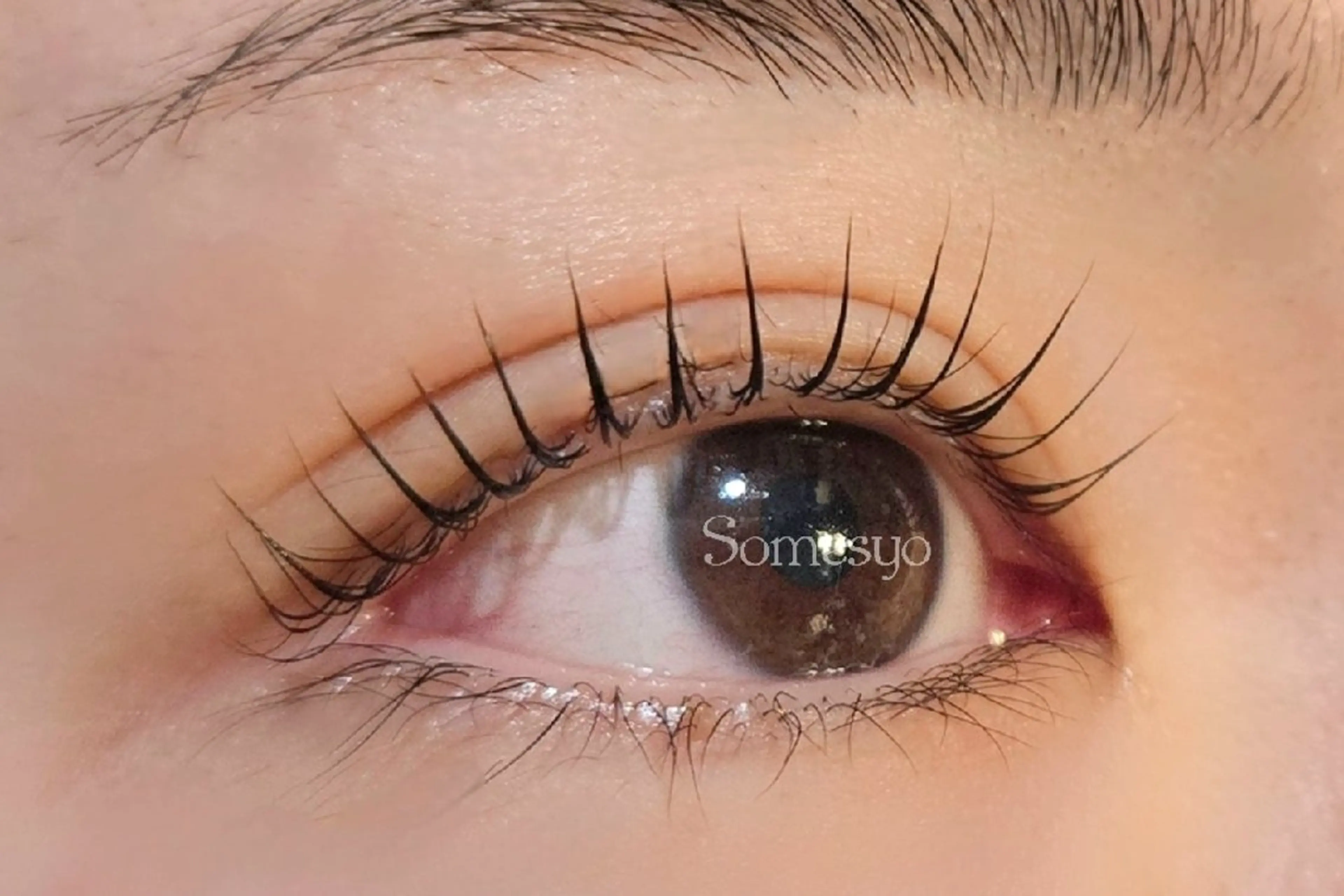 まつげパーマ トリートメント&アイシャンプー付きの写真