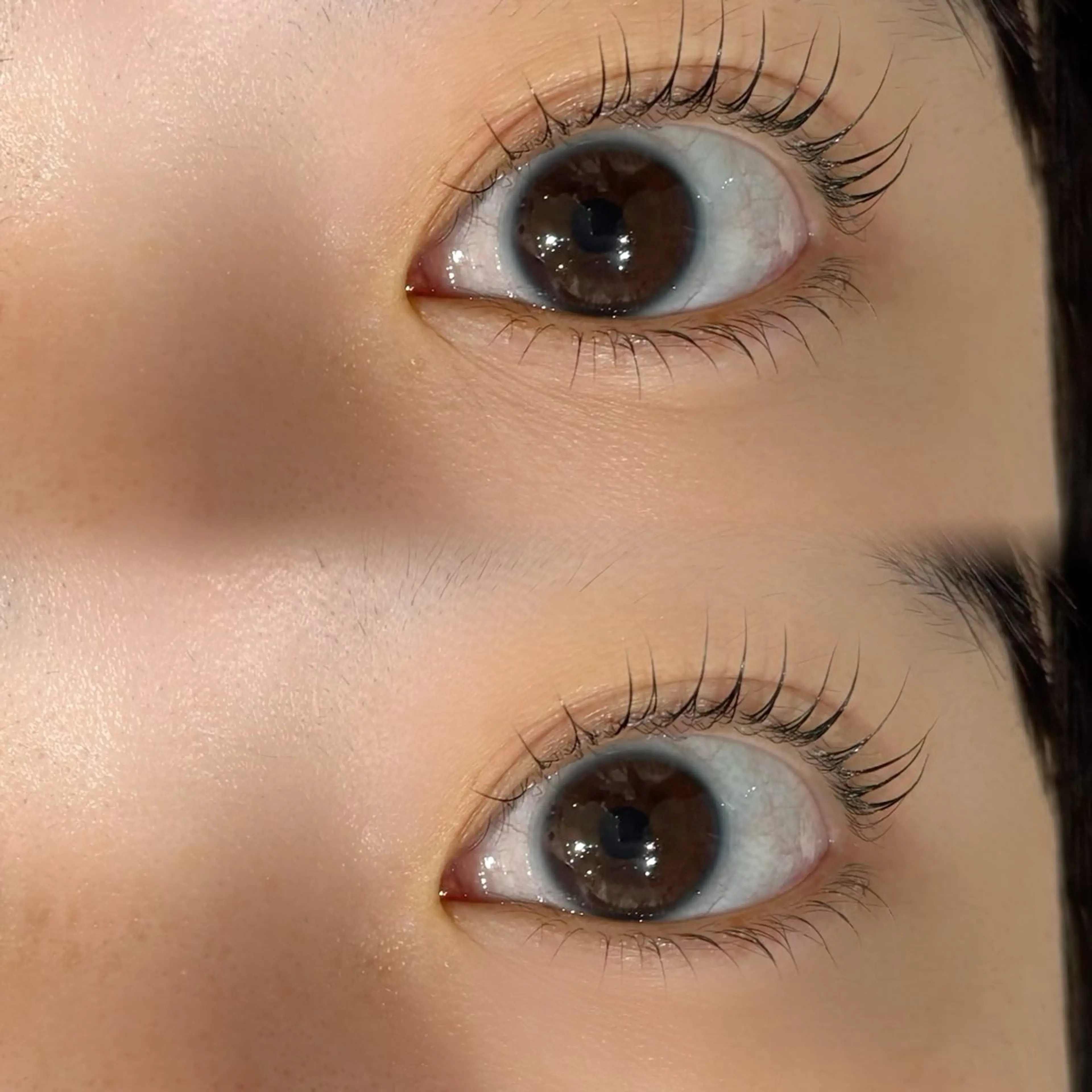 【26日まで限定】ラッシュリフト上下の写真