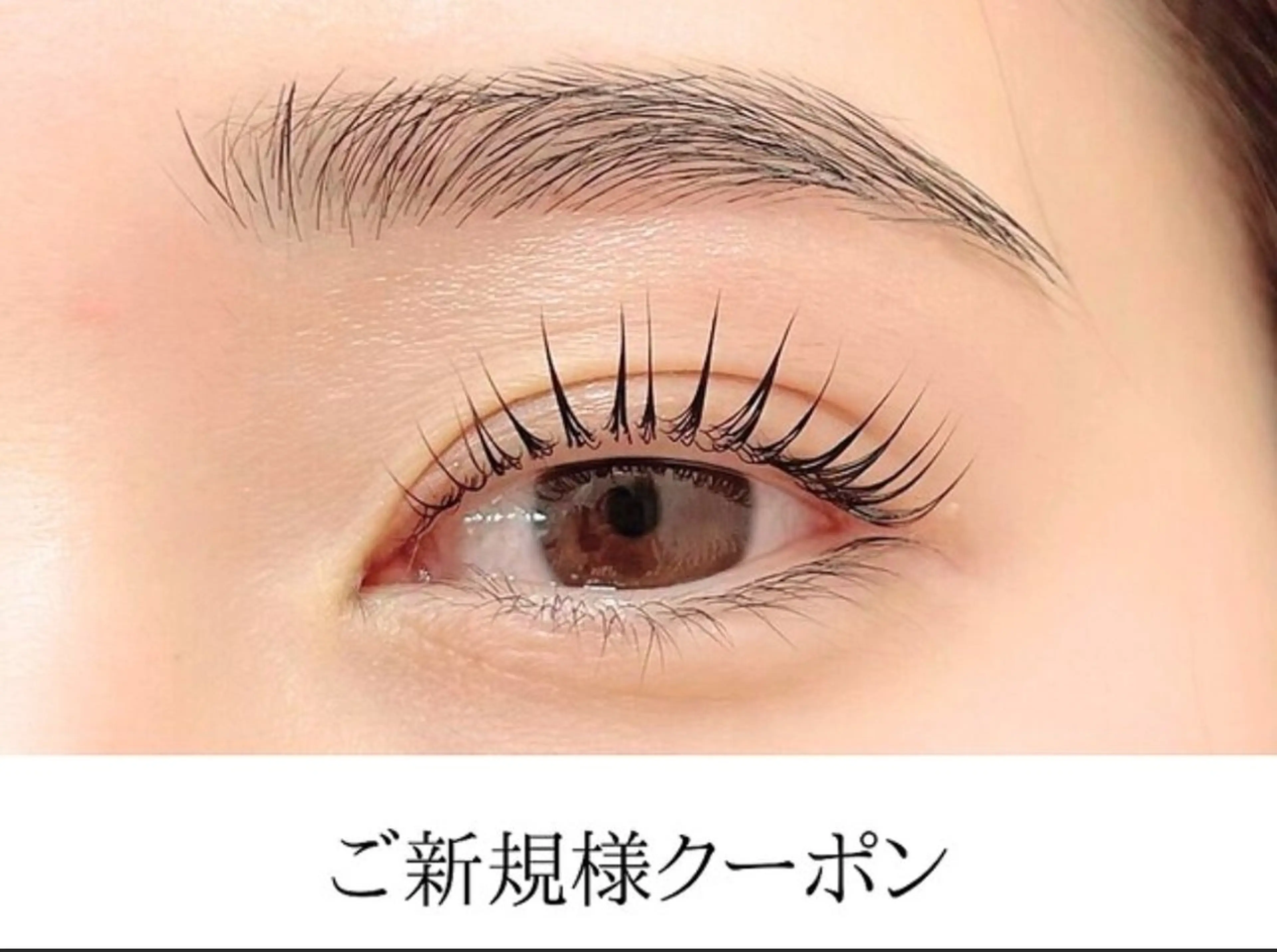 マツエク・マツパ Anela 🦋HARUMIの眉毛・アイブロウイメージ