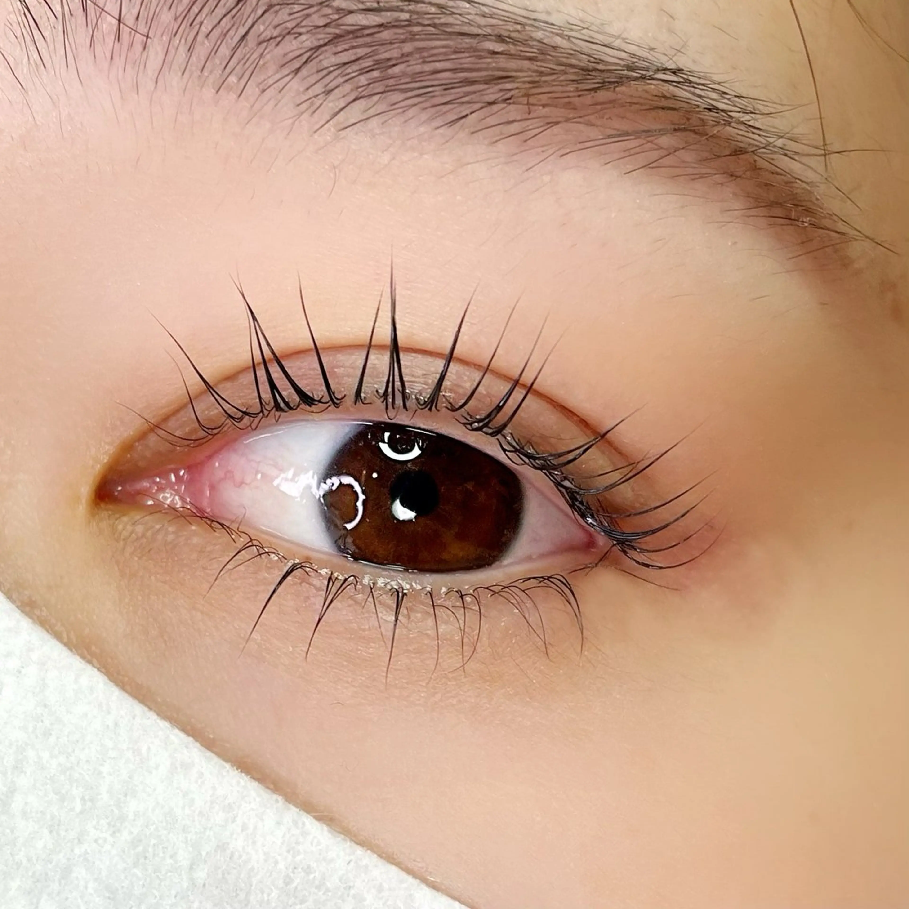 マツエク・マツパ 下まつげエクステ 一重×まつ毛パーマ マツパ 👑口コミ高評価 Rinaのマツエク・マツパデザイン