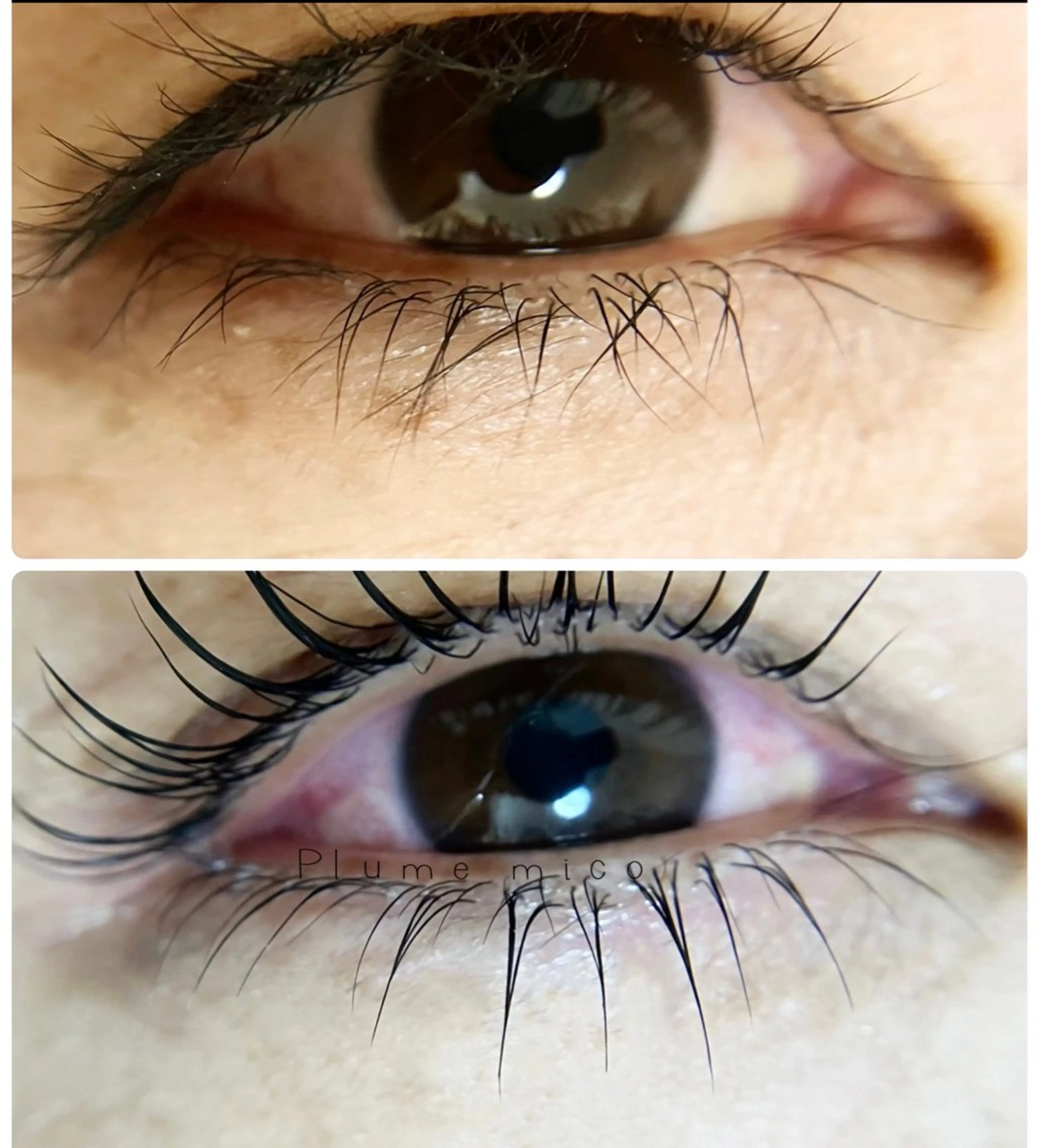 マツエク・マツパ マツパ Plume micoのマツエク・マツパデザイン