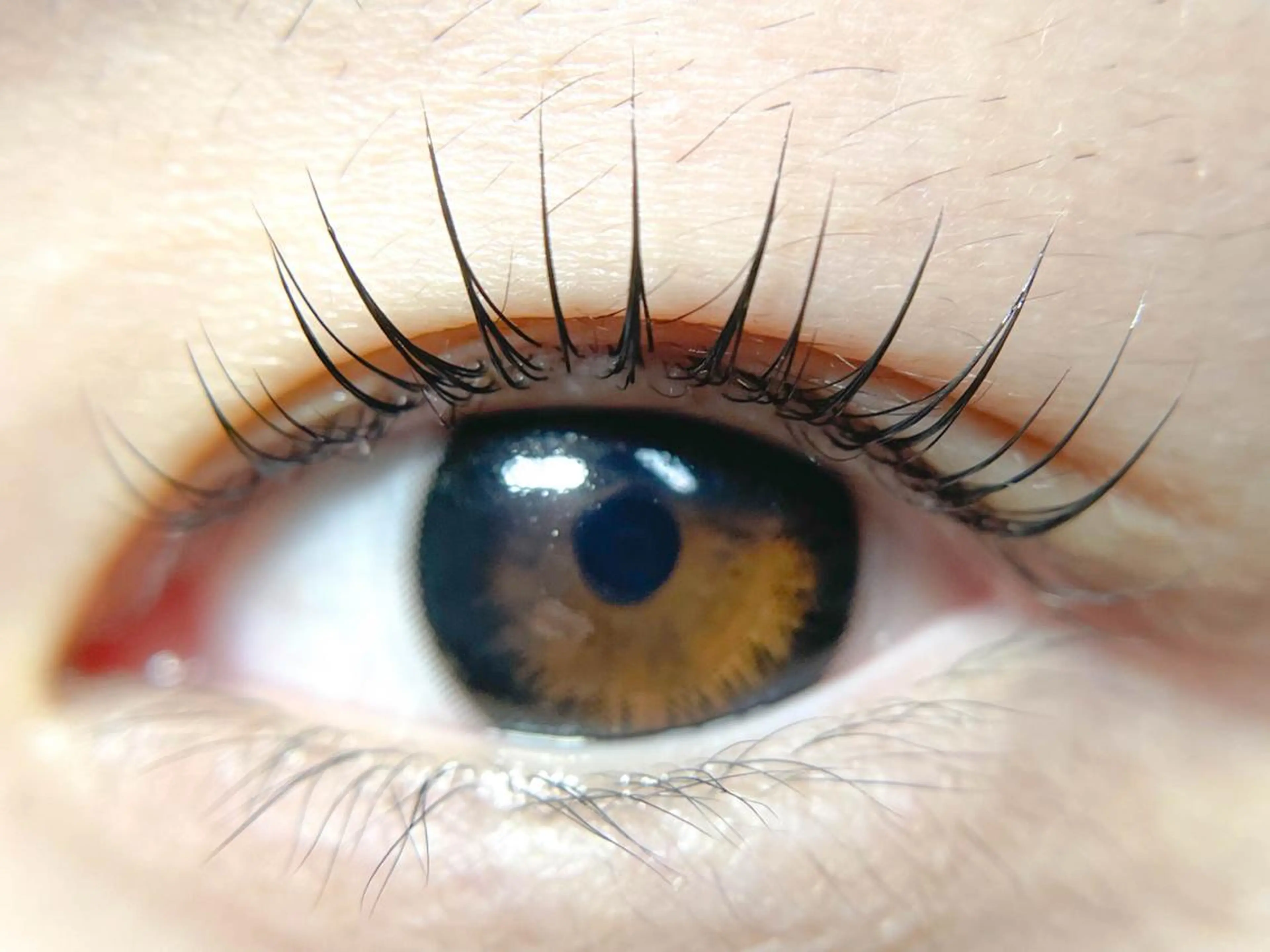 マツエク・マツパ ANEMONA nail&lashのネイルデザイン