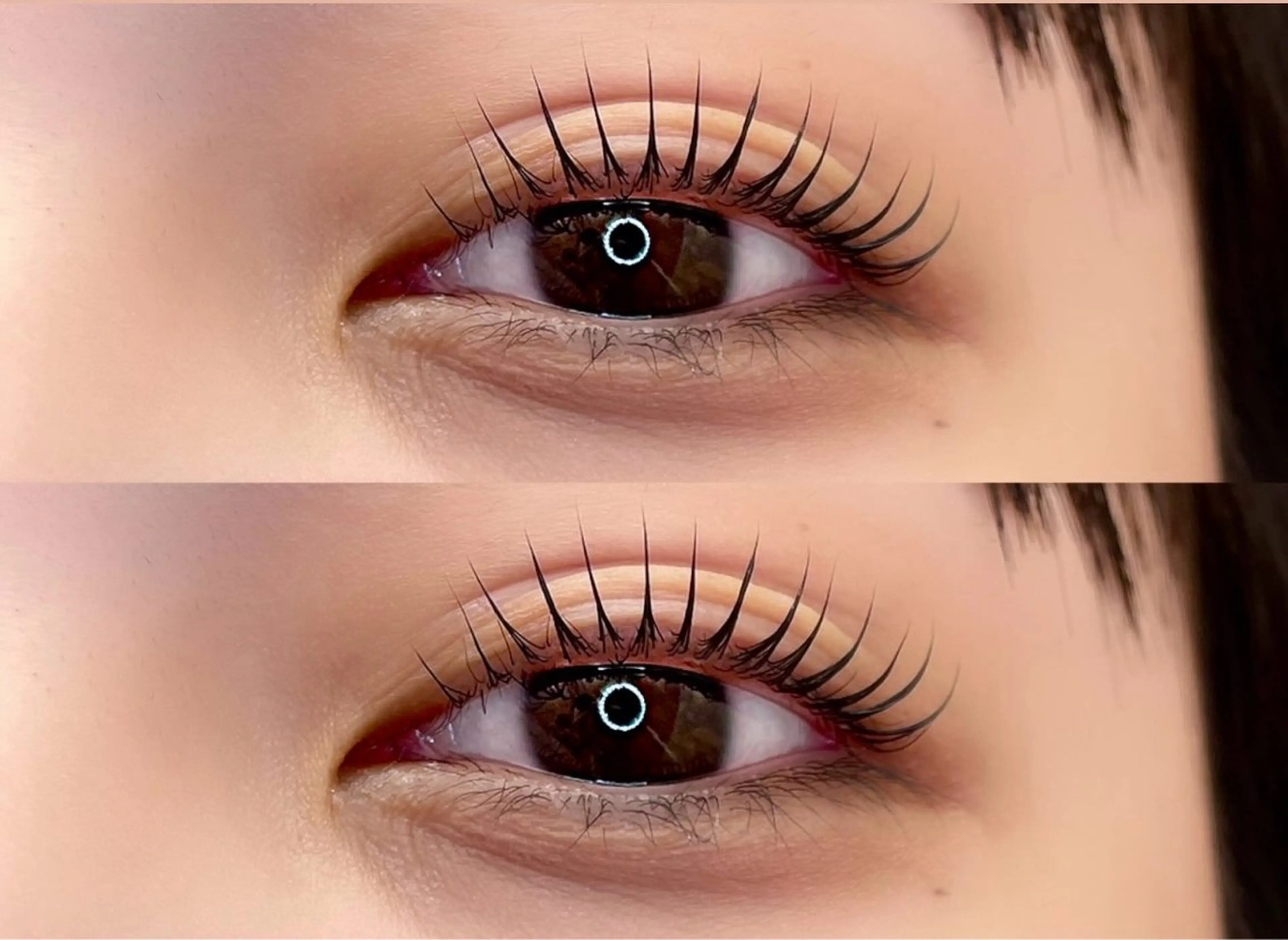 【12月限定割✨】パリジェンヌラッシュリフト➕アイパック付【平日限定】の写真