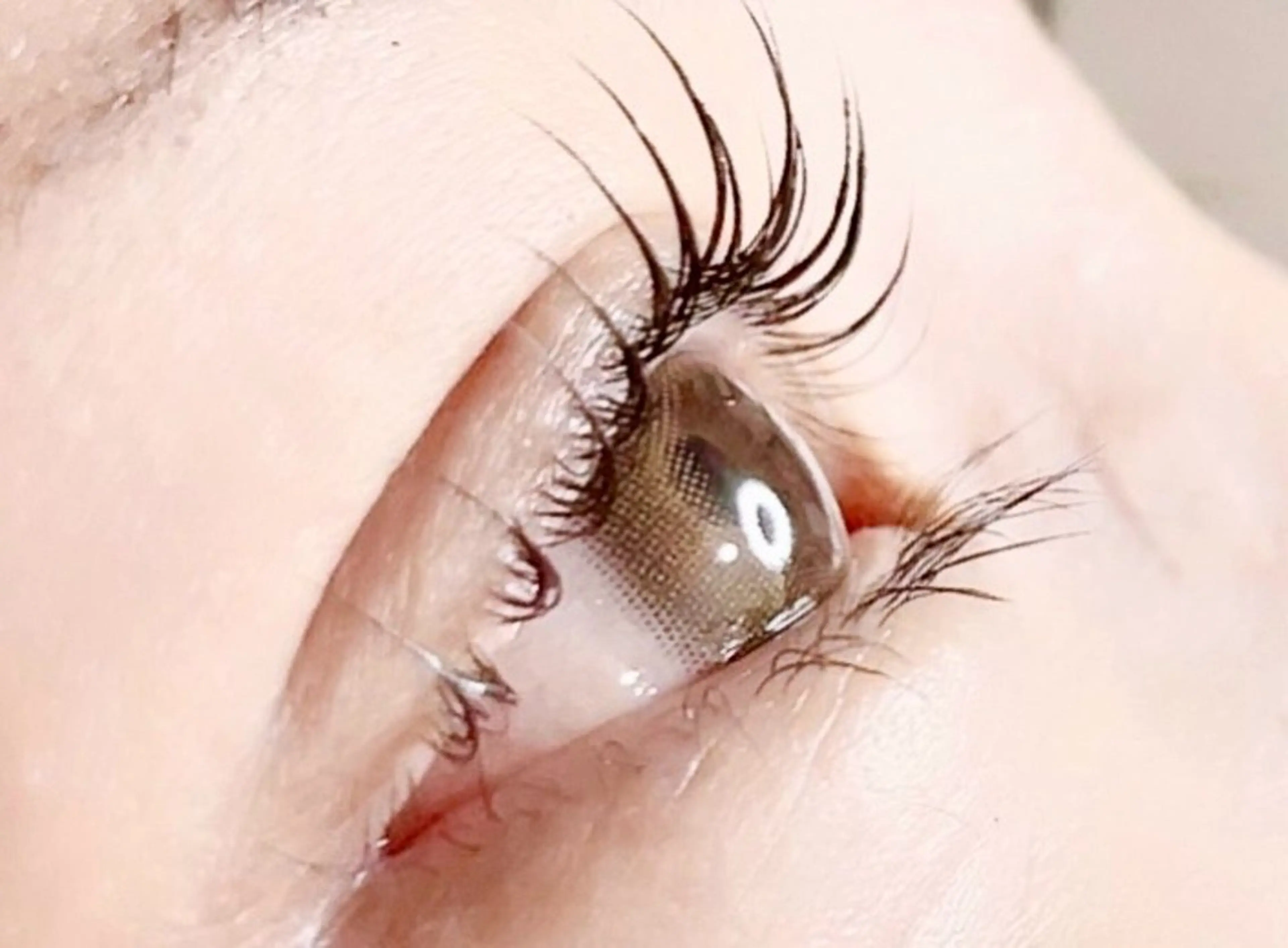 マスカラパーマ★パリジェンヌラッシュリフト×ブラックティントの写真