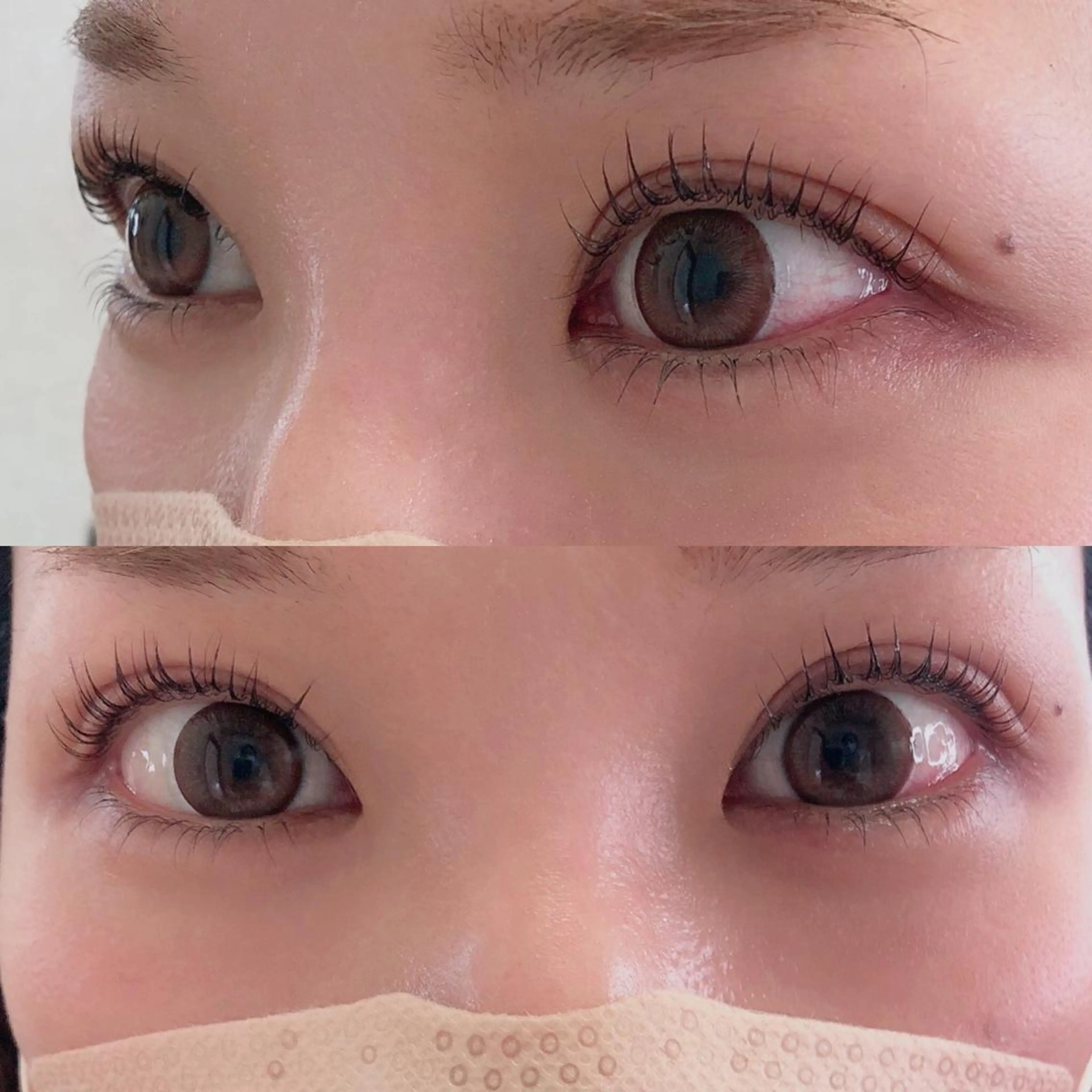 パリジェンヌラッシュリフト上まつ毛&下まつ毛+高濃度トリートメントの写真