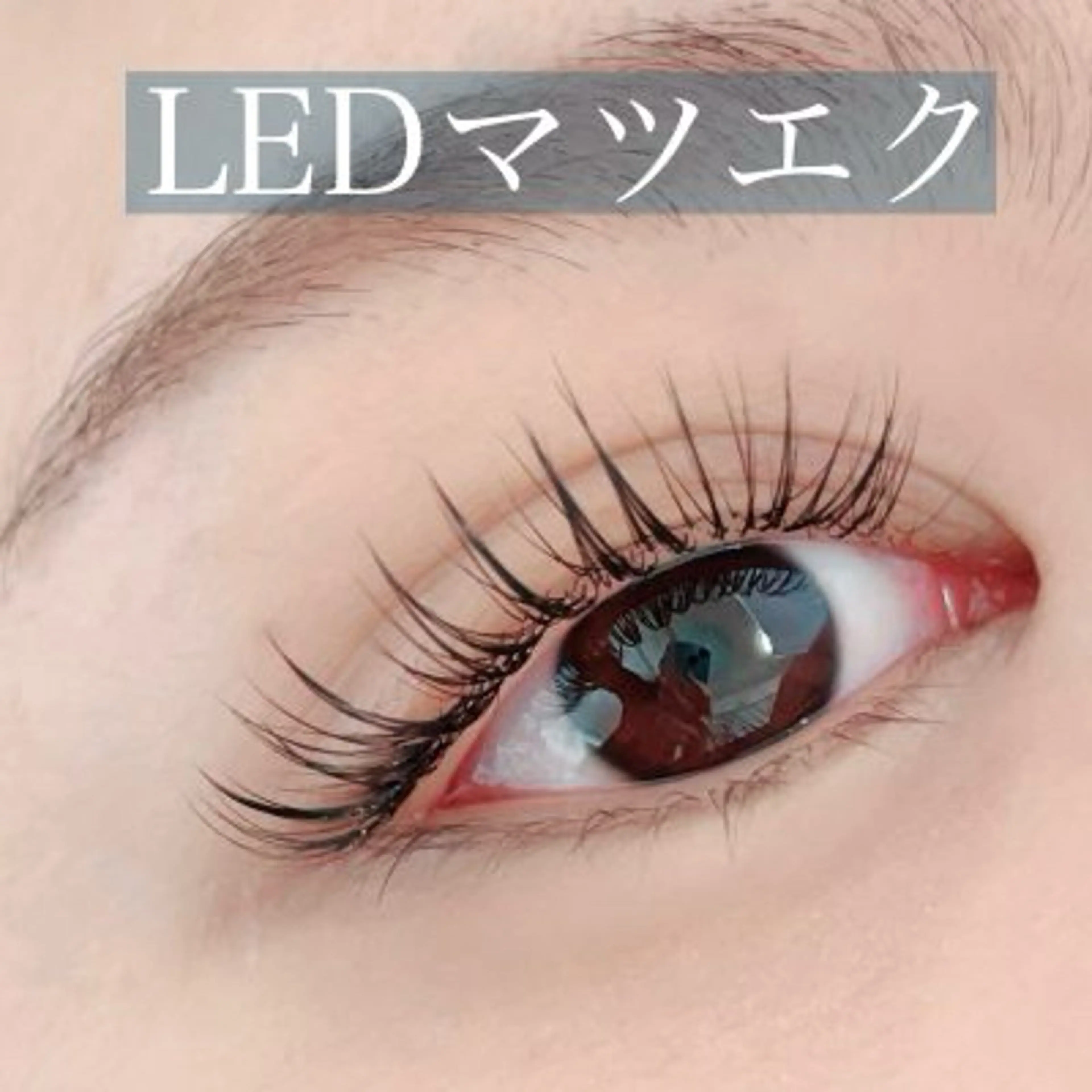 マツエク・マツパ La Belta【ラベルタ】nail eye salon所属・Labelta 💜 YUIのマツエク・マツパデザイン