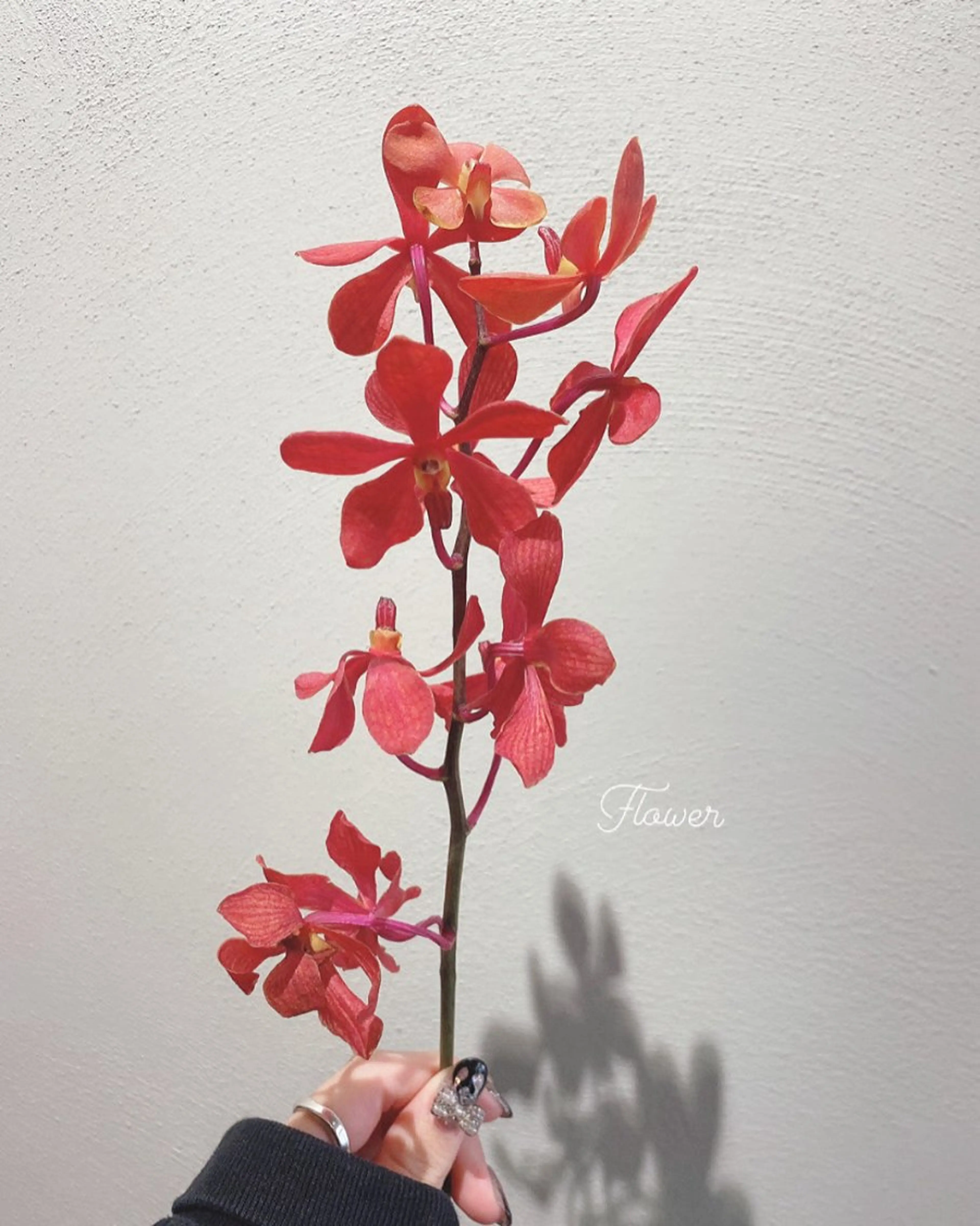 カット ヘアカラー トリートメント 🌻花屋併設🌻濱 幸帆のヘアスタイル