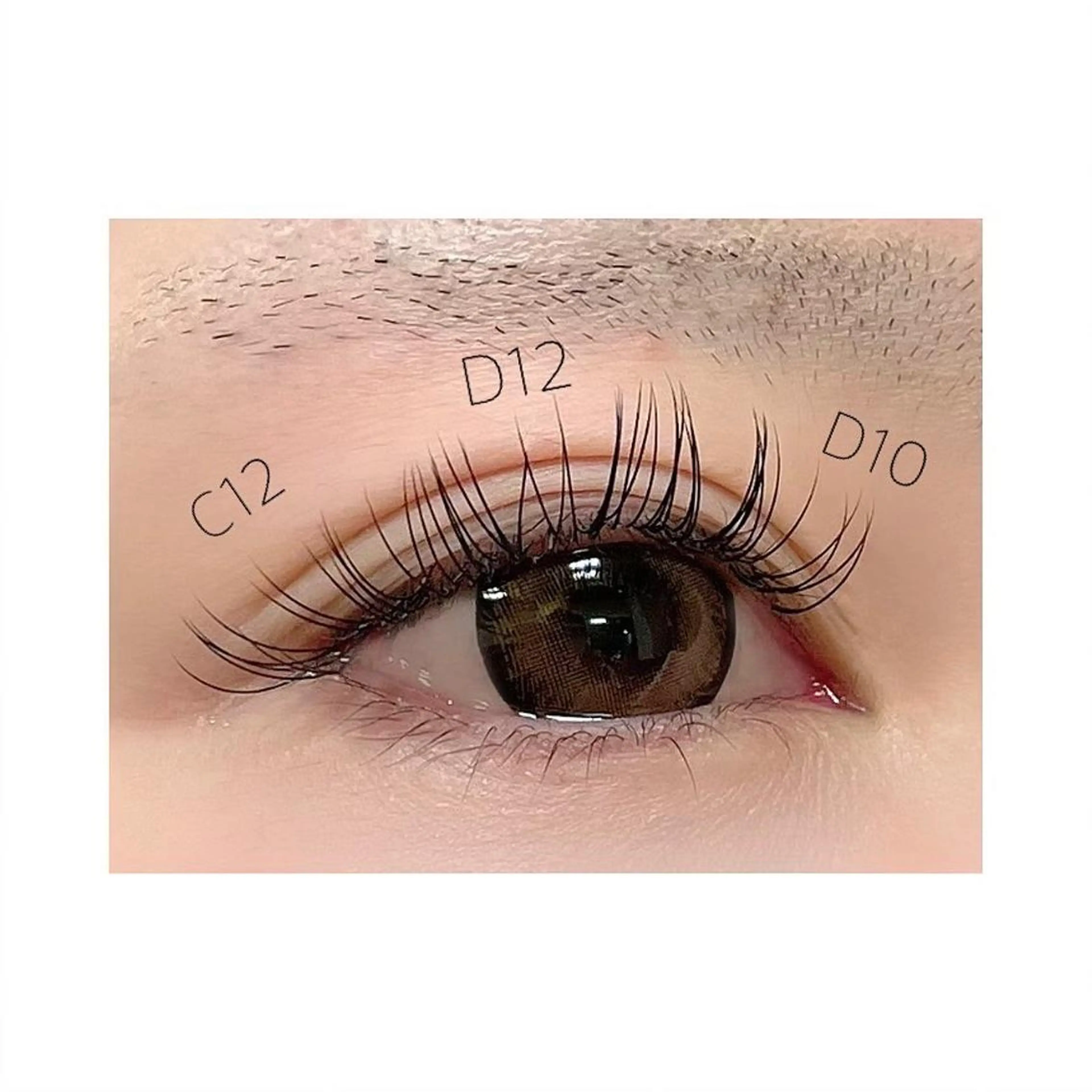 マツエク・マツパ ナチュラル EYE CARRY ⋆.✶🖤のマツエク・マツパデザイン